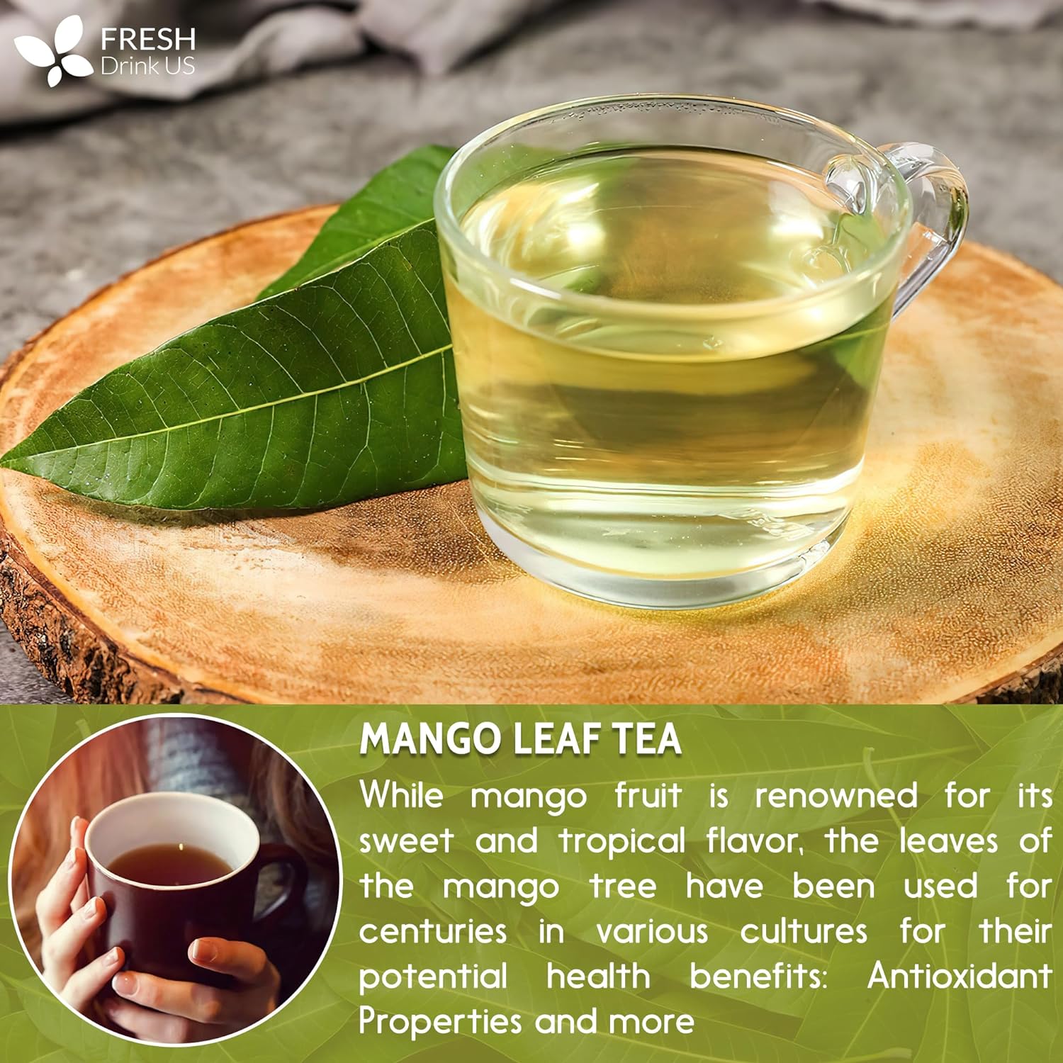 Mango Leaf, Whole Dried Leaves, Tea Bags, Powder, 100% Natural & Pure from Mango Leaves. Mango Dried Leaves. Loose Leaf Mango Herbal Tea. Mango Leaf Tea. No Sugar, No Caffeine, No Gluten, Vegan. by FreshDrinkUS - Natural and Premium Herbal Tea