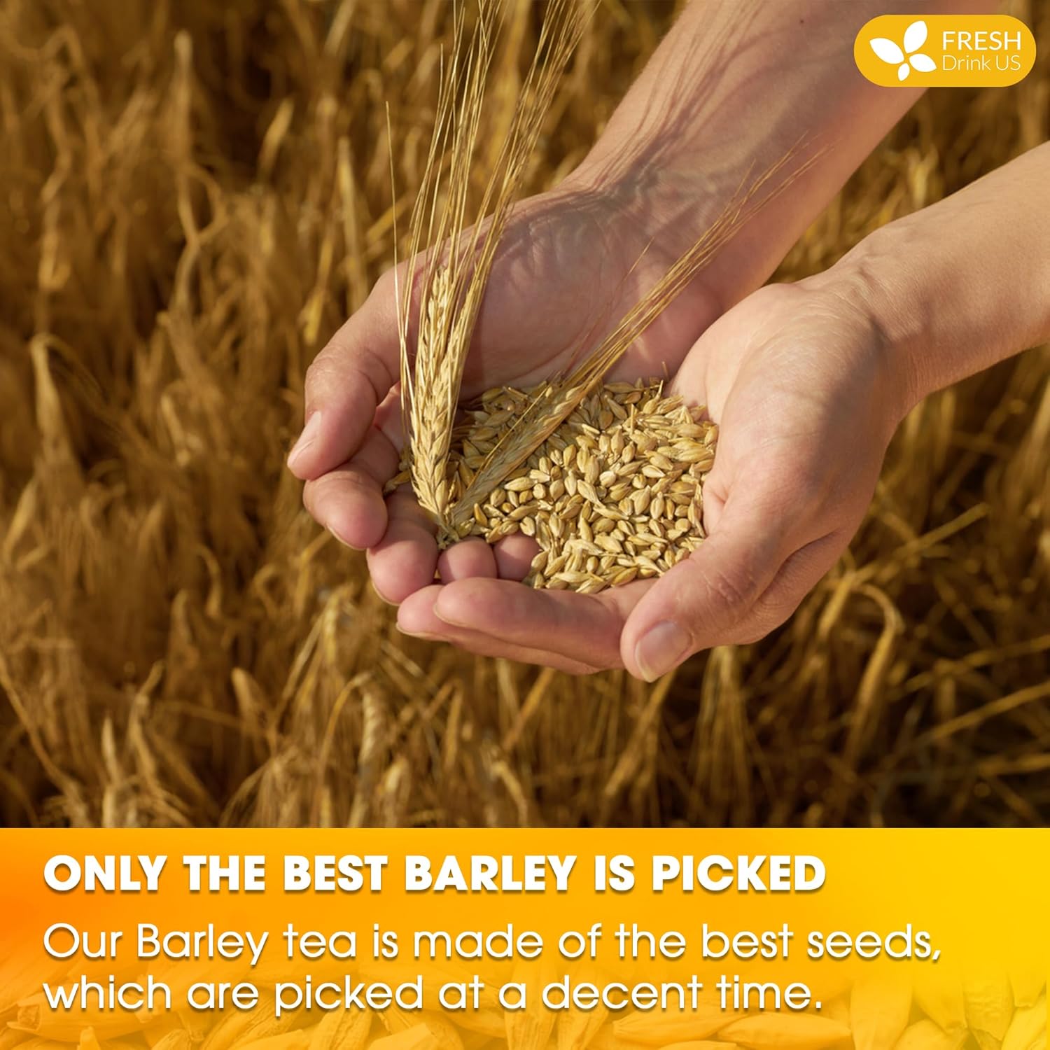 Premium Barley Tea Bags, 100% Natural & Pure from Barley. Loose Barey Herbal Tea. No Sugar, No Caffeine, No Gluten, Vegan. by FreshDrinkUS - Natural and Premium Herbal Tea