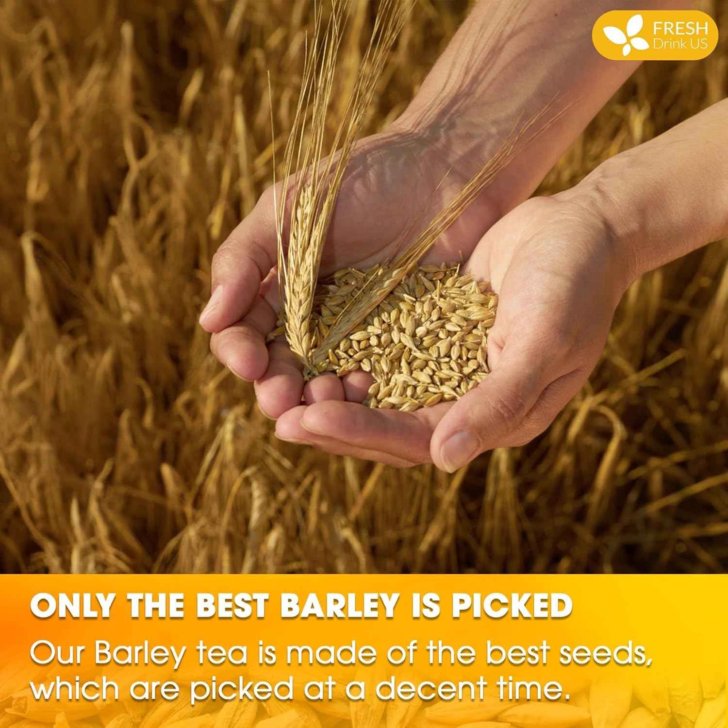 Premium Barley Tea Bags, 100% Natural & Pure from Barley. Loose Barey Herbal Tea. No Sugar, No Caffeine, No Gluten, Vegan.