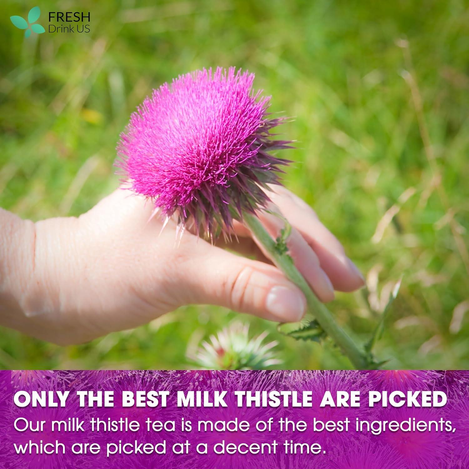 Premium Milk Thistle Tea Bags, 100% Natural & Pure from Milk Thistle Seeds. Milk Thistle Seed Herbal Tea. Milk Thistle Seed Tea. Made with Natural Material Tea Bags. No Sugar, No Caffeine, No Gluten, Vegan. by FreshDrinkUS - Natural and Premium Herbal Tea