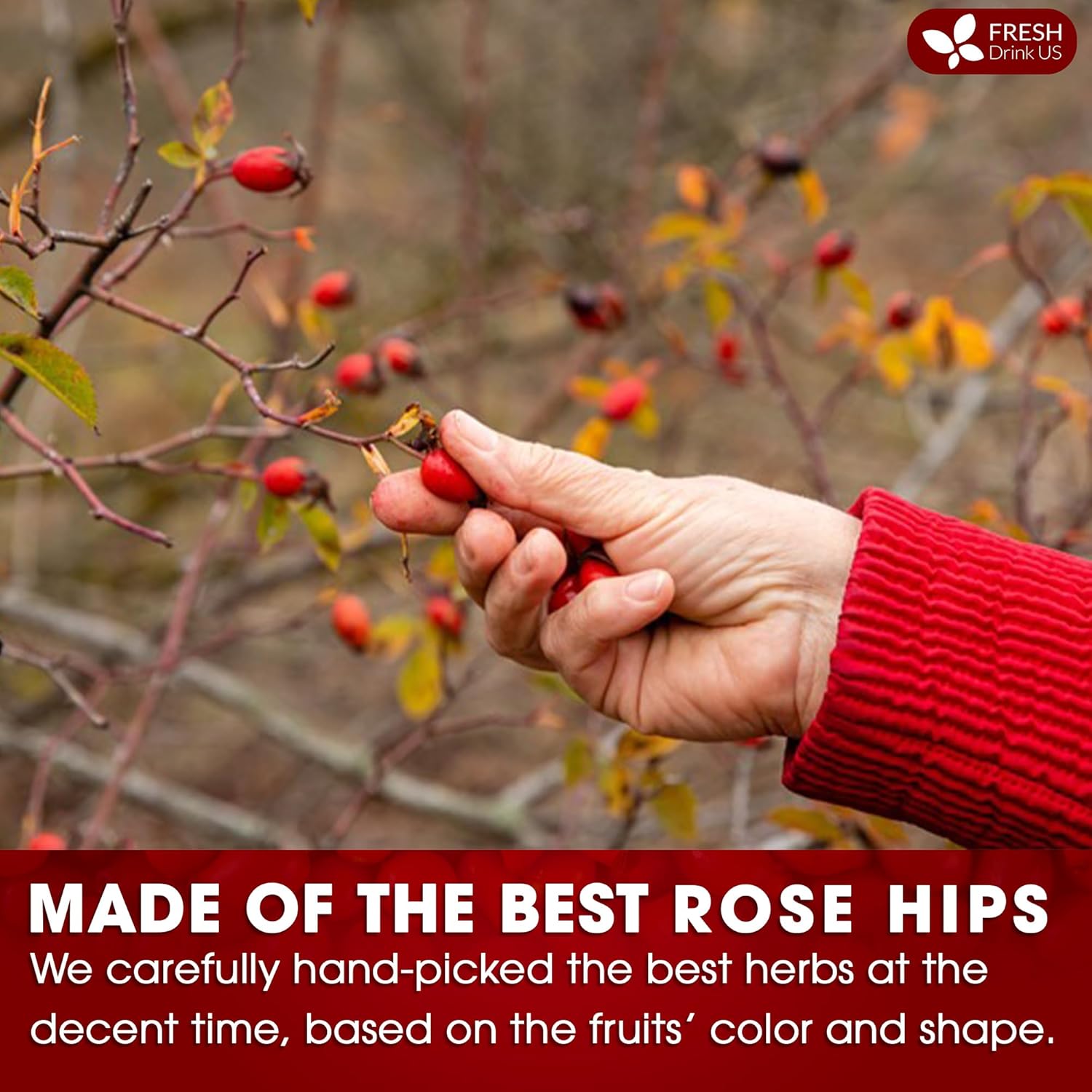 Premium Rosehip Tea Bags, 100% Natural & Pure from Rose Hip Fruits. by FreshDrinkUS - Natural and Premium Herbal Tea