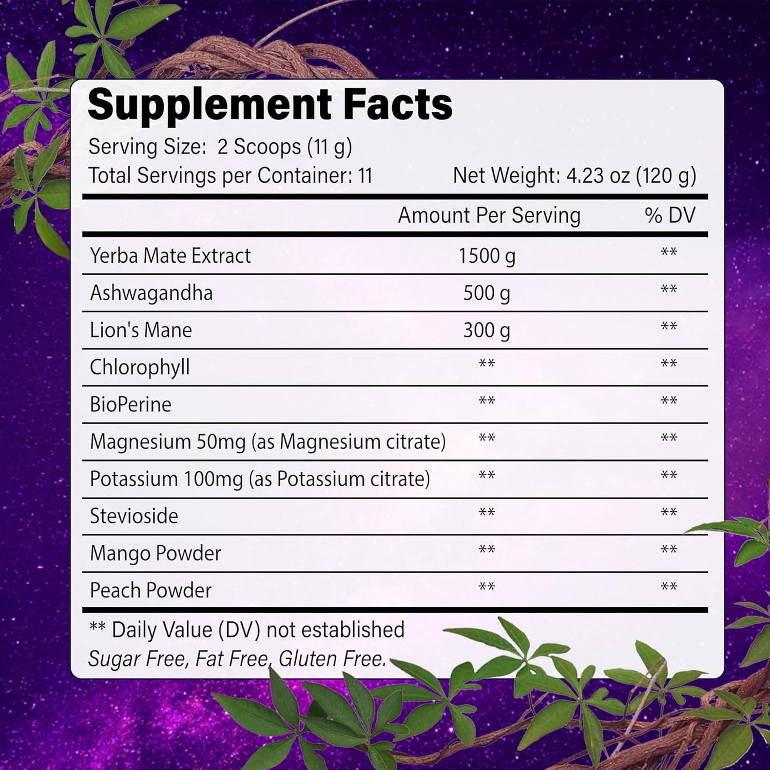 Yerba Mate Instant Tea Powder | Superfood Energy & Focus Blend by FreshDrinkUS - Natural and Premium Herbal Tea