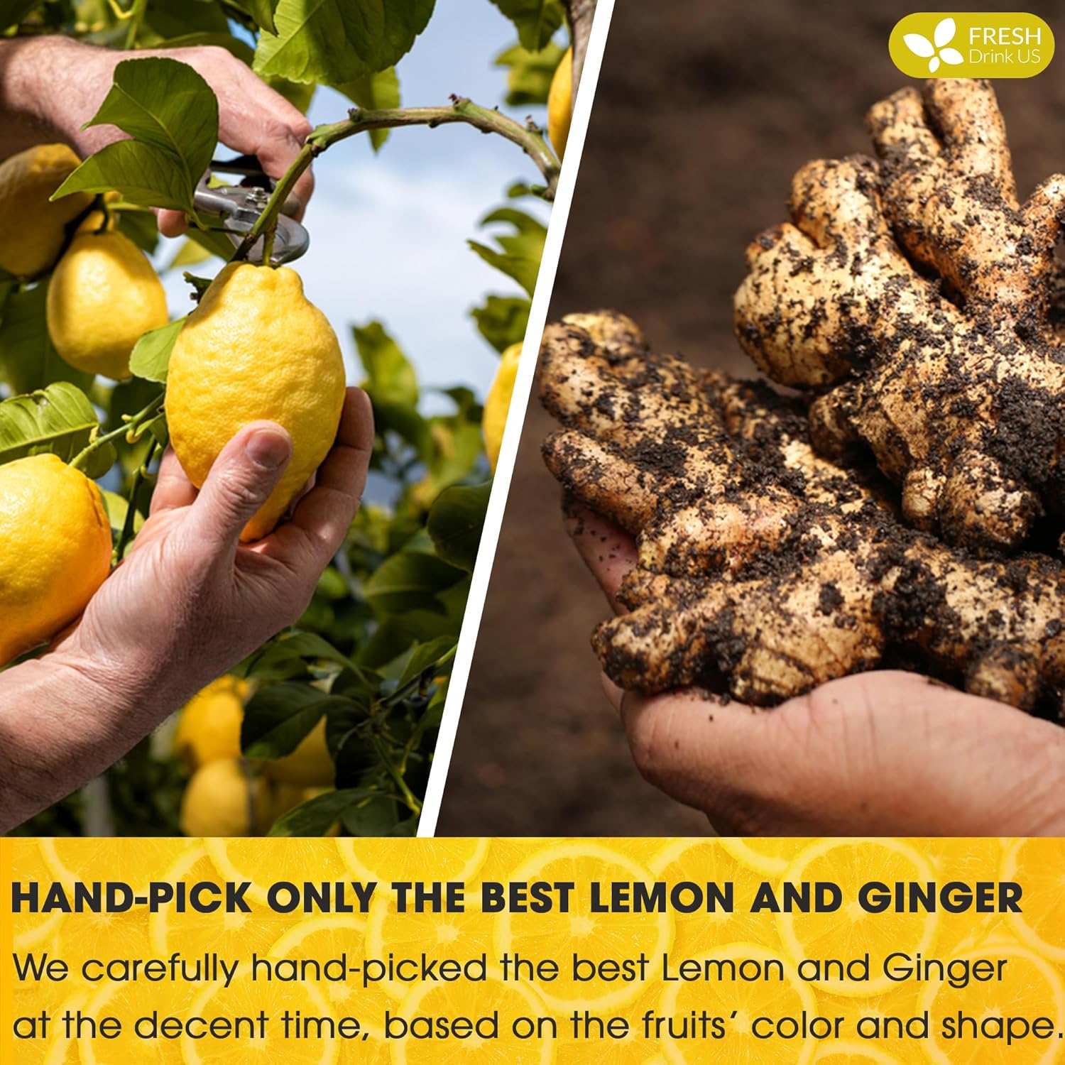 Premium Lemon Ginger Tea Bag, Eco-conscious Tea Bags. Lemon Ginger Herbal Tea. No Sugar, No Caffeine, No Gluten, Vegan. by FreshDrinkUS - Natural and Premium Herbal Tea