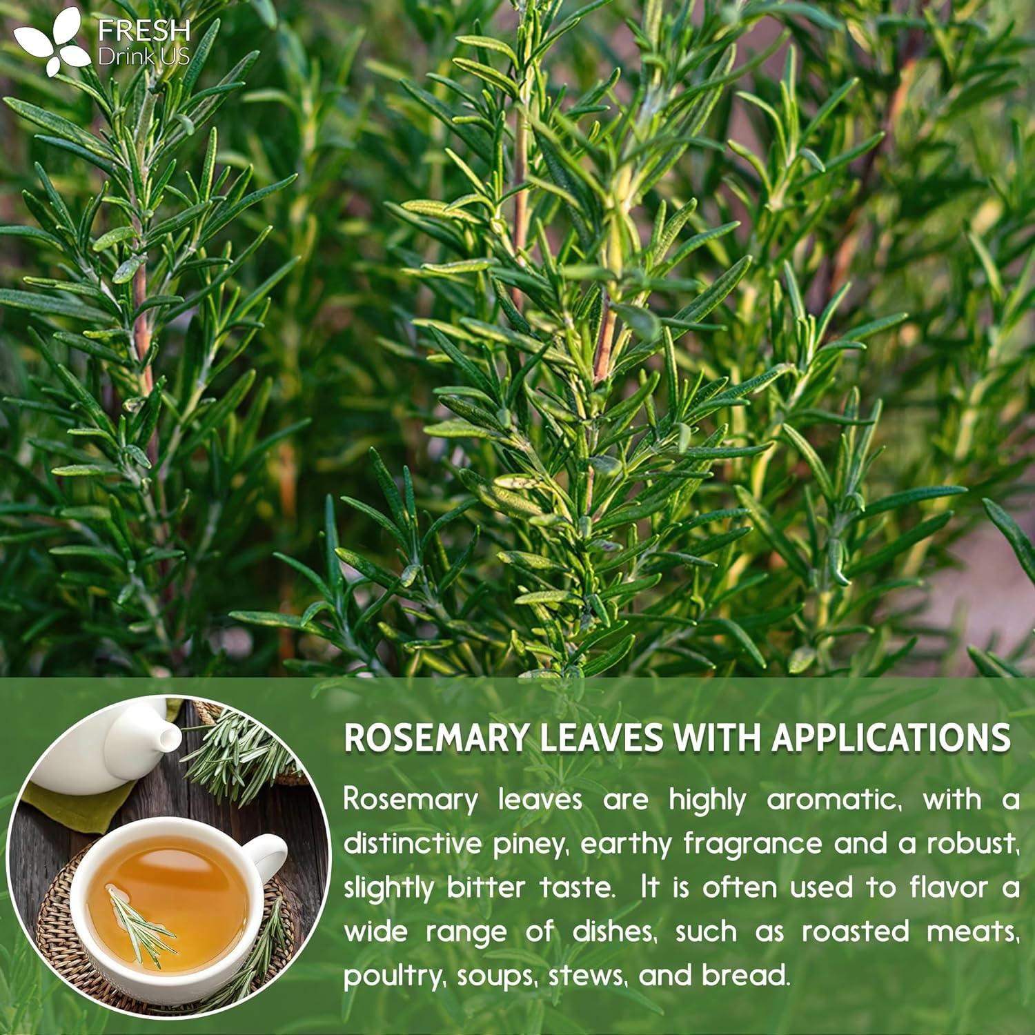 Premium Rosemary Leaves, Tea Bags, Powder, 100% Natural & Pure from Dried Rosemary Leaves, No Additives, No Caffeine, Vegan. Dried Rosemary Herb, Perfect for Seasoning, Spice Blends for Grilling & Cooking by FreshDrinkUS - Natural and Premium Herbal Tea