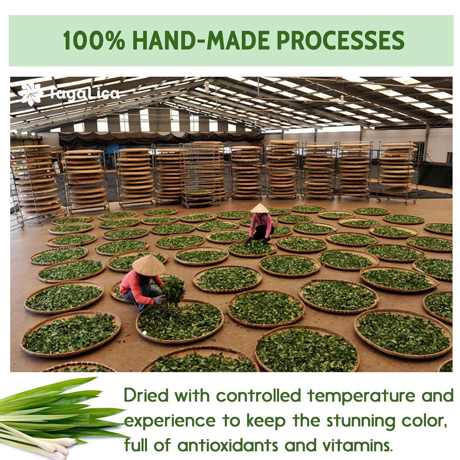 Lemongrass Tea Bags, 100% Natural & Pure Lemongrass leaves, Eco-Conscious Tea Bags, Lemongrass Herbal Tea. Lemongrass Leaf Tea. No Sugar, No Caffeine, No Gluten, Vegan.