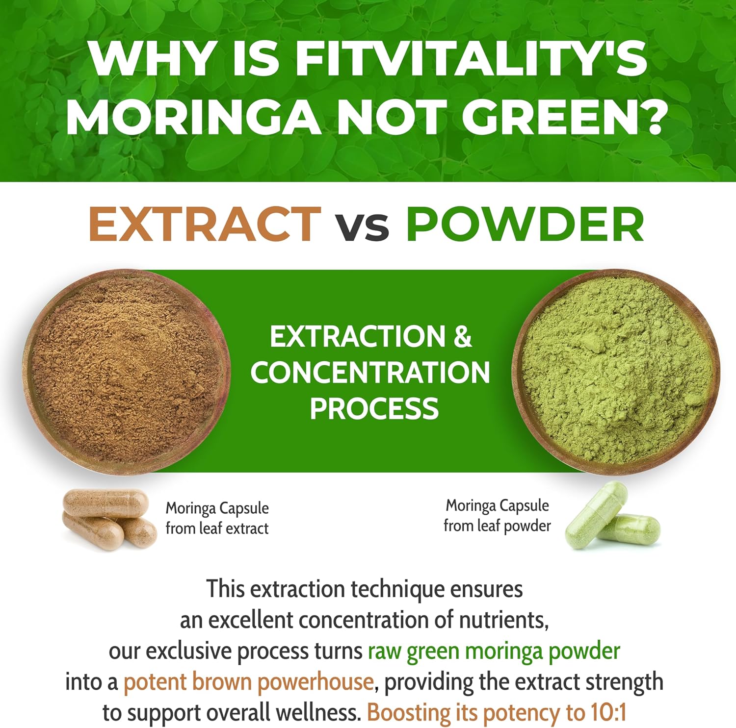 Moringa Capsules|300 Capsules|Moringa Oleifera|10,000mg by FreshDrinkUS - Natural and Premium Herbal Tea