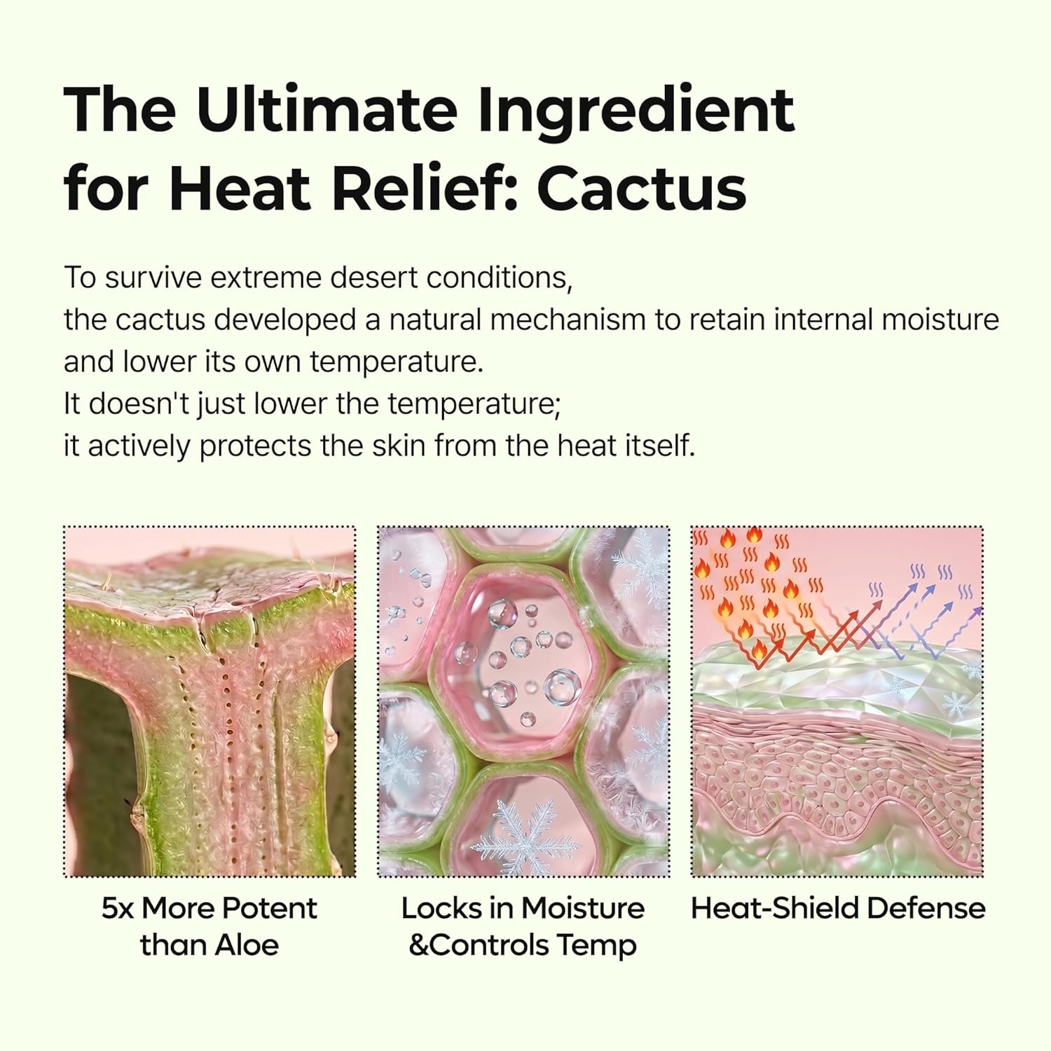 Dr. Melaxin CACTOX Pore Relief Multi Balm DestGlow