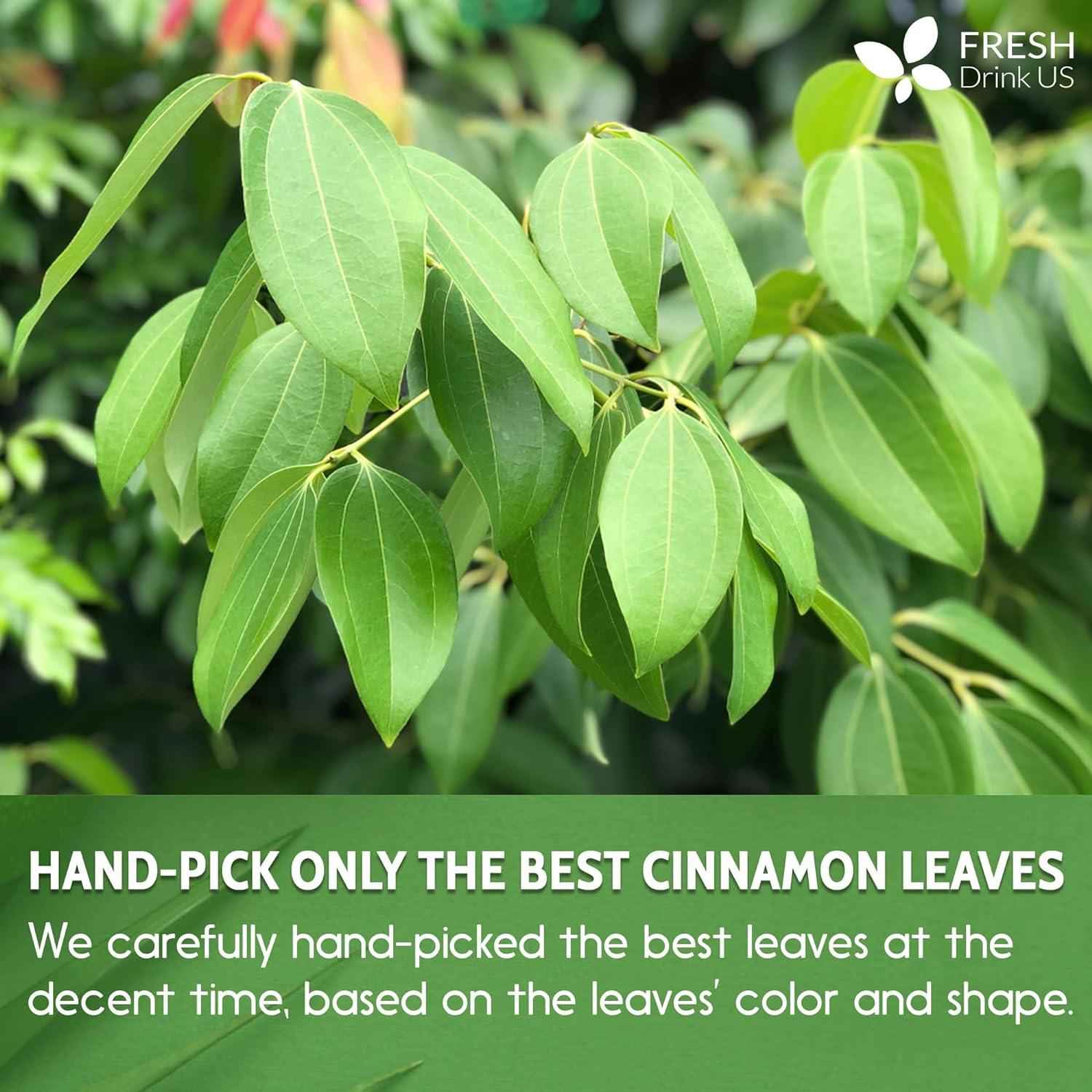 Cinnamon Cut and Sifted Leaf Tea