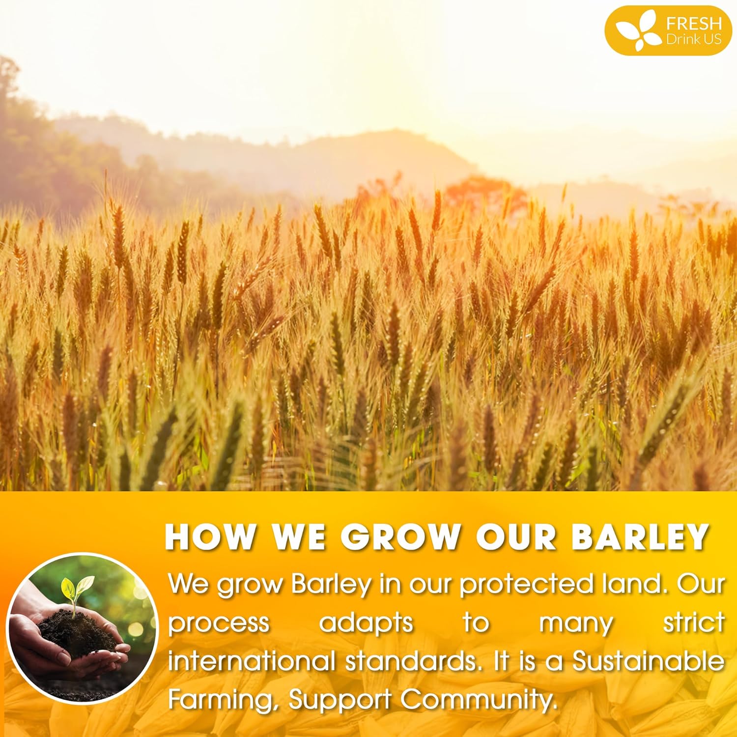 Premium Barley Tea Bags, 100% Natural & Pure from Barley. Loose Barey Herbal Tea. No Sugar, No Caffeine, No Gluten, Vegan. by FreshDrinkUS - Natural and Premium Herbal Tea