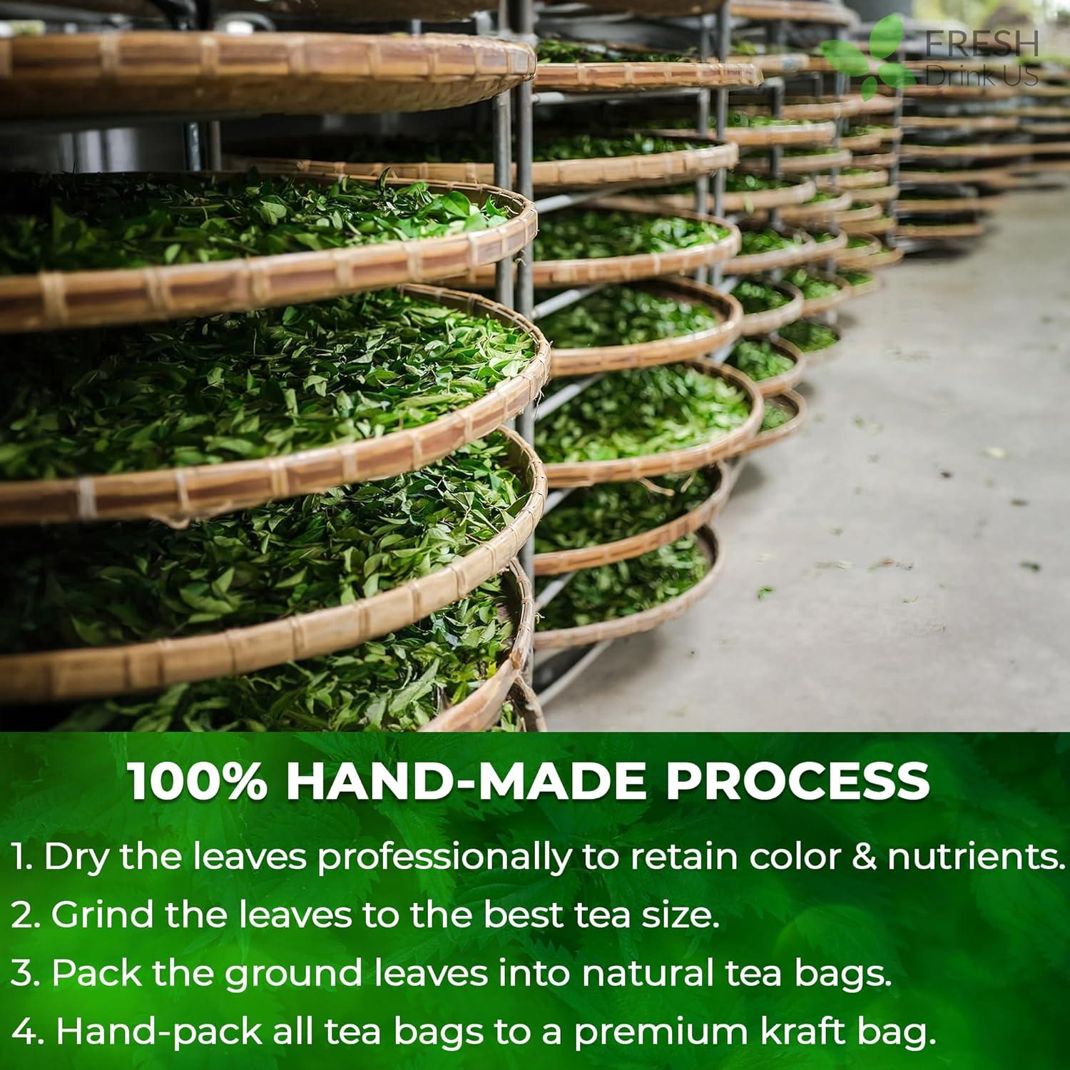 Premium Nettle Leaf Tea Bags, 100% Natural & Pure, Stinging Nettle Leaf Tea, Nettle Leaf Tea, Burn Nettle, Stinging Nettle, Nettle Tea, Stinger Tea, No Sugar/Caffeine & Gluten, Vegan by FreshDrinkUS - Natural and Premium Herbal Tea