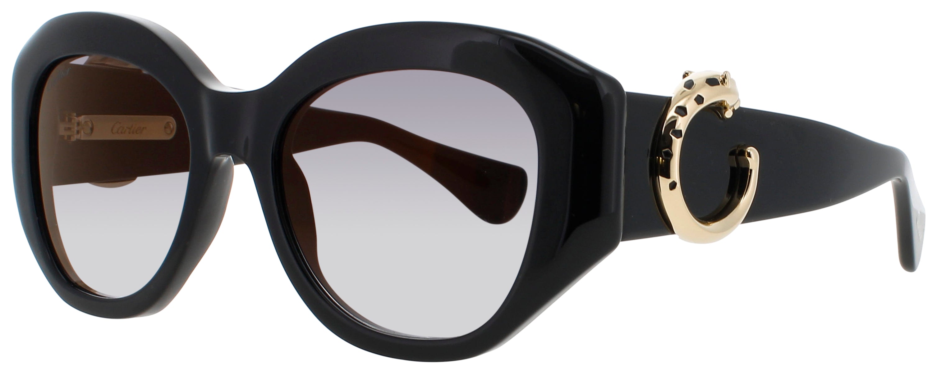 Cartier Ct0502s Sunglasses by ModaFrames