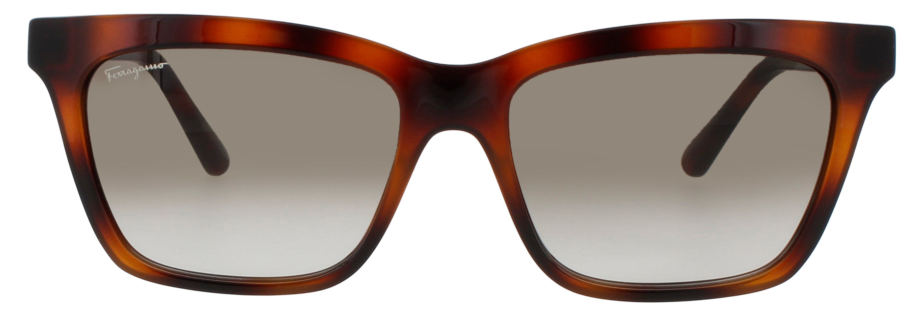 Salvatore Ferragamo Sf1027s Sunglasses by ModaFrames