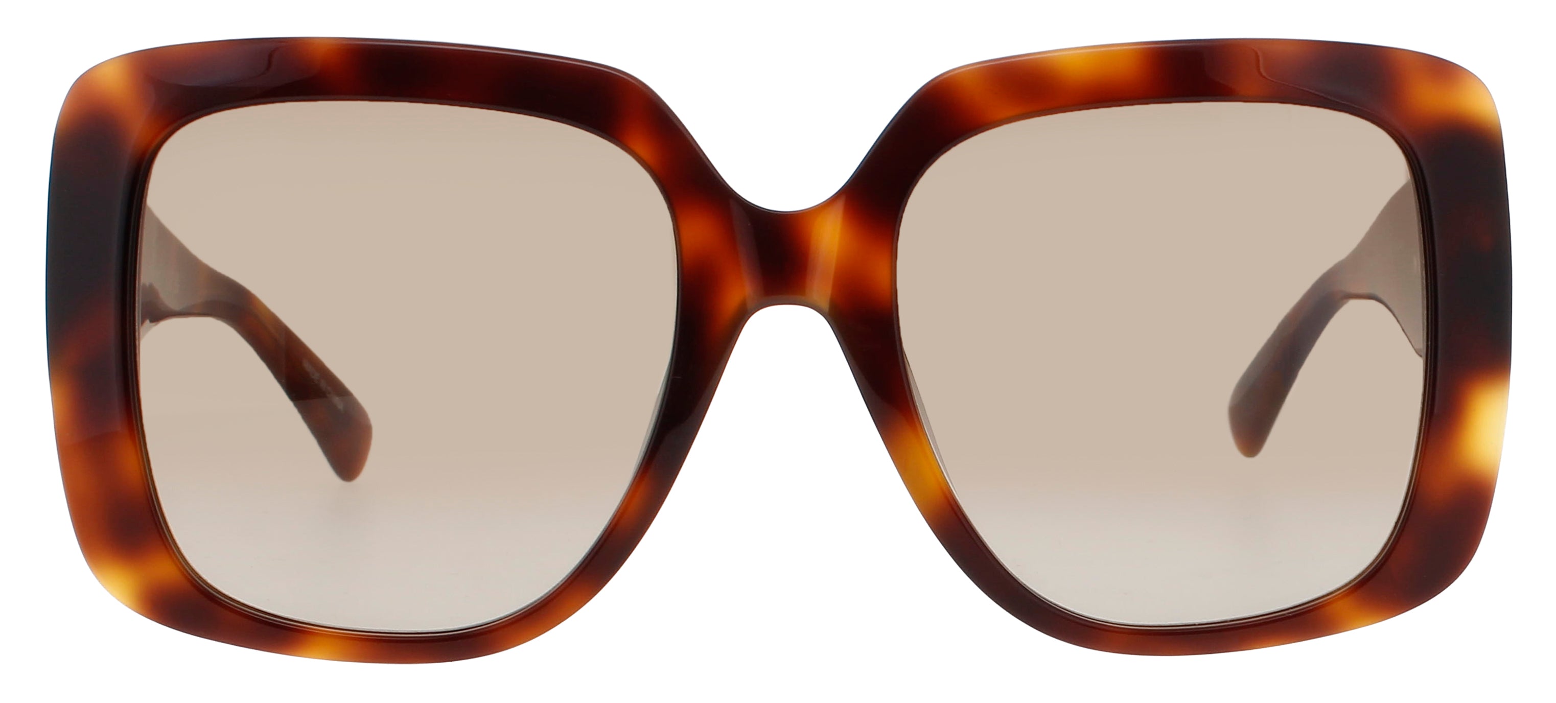 Longchamp Lo713s Sunglasses by ModaFrames