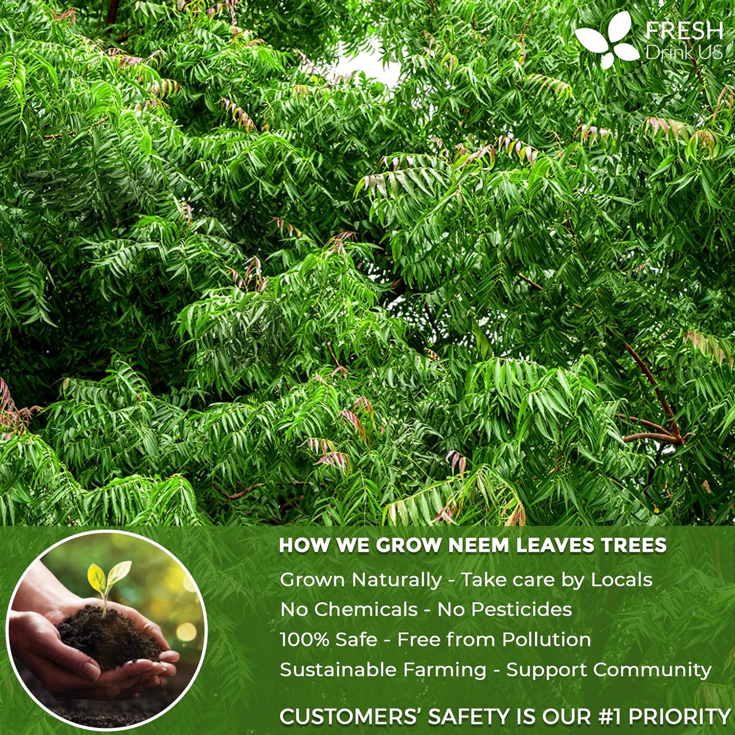 Neem Leaf Tea Bags, 100% Natural and Pure from Neem Leaves. Loose Leaf Neem Herbal Tea. Neem Leaf Tea. No Sugar, No Caffeine, No Gluten, Vegan. by FreshDrinkUS - Natural and Premium Herbal Tea