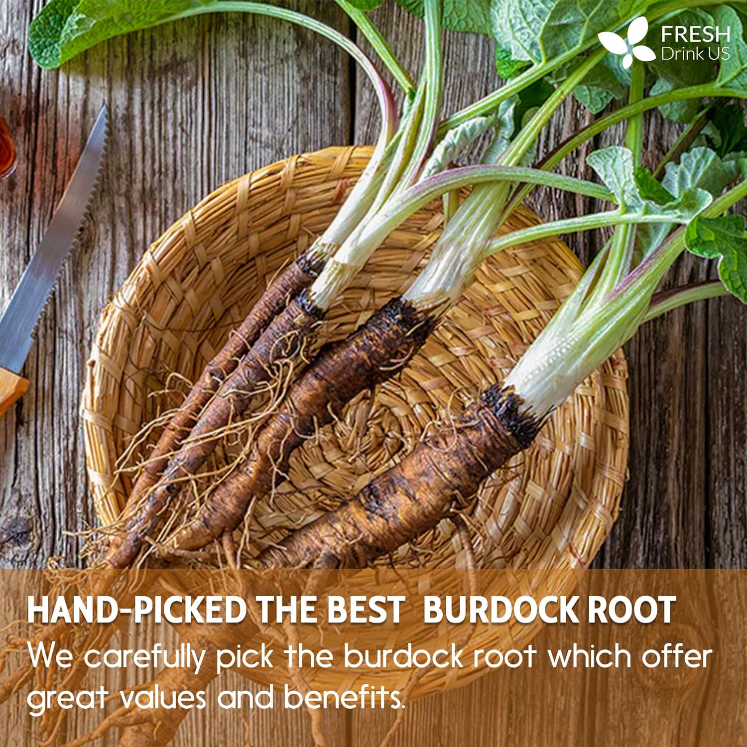Burdock Root Tea Bags, 100% Natural & Pure from Burdock Root. Burdock Root Herbal Tea. Burdock Root Tea. No Sugar, No Caffeine, No Gluten, Vegan. by FreshDrinkUS - Natural and Premium Herbal Tea
