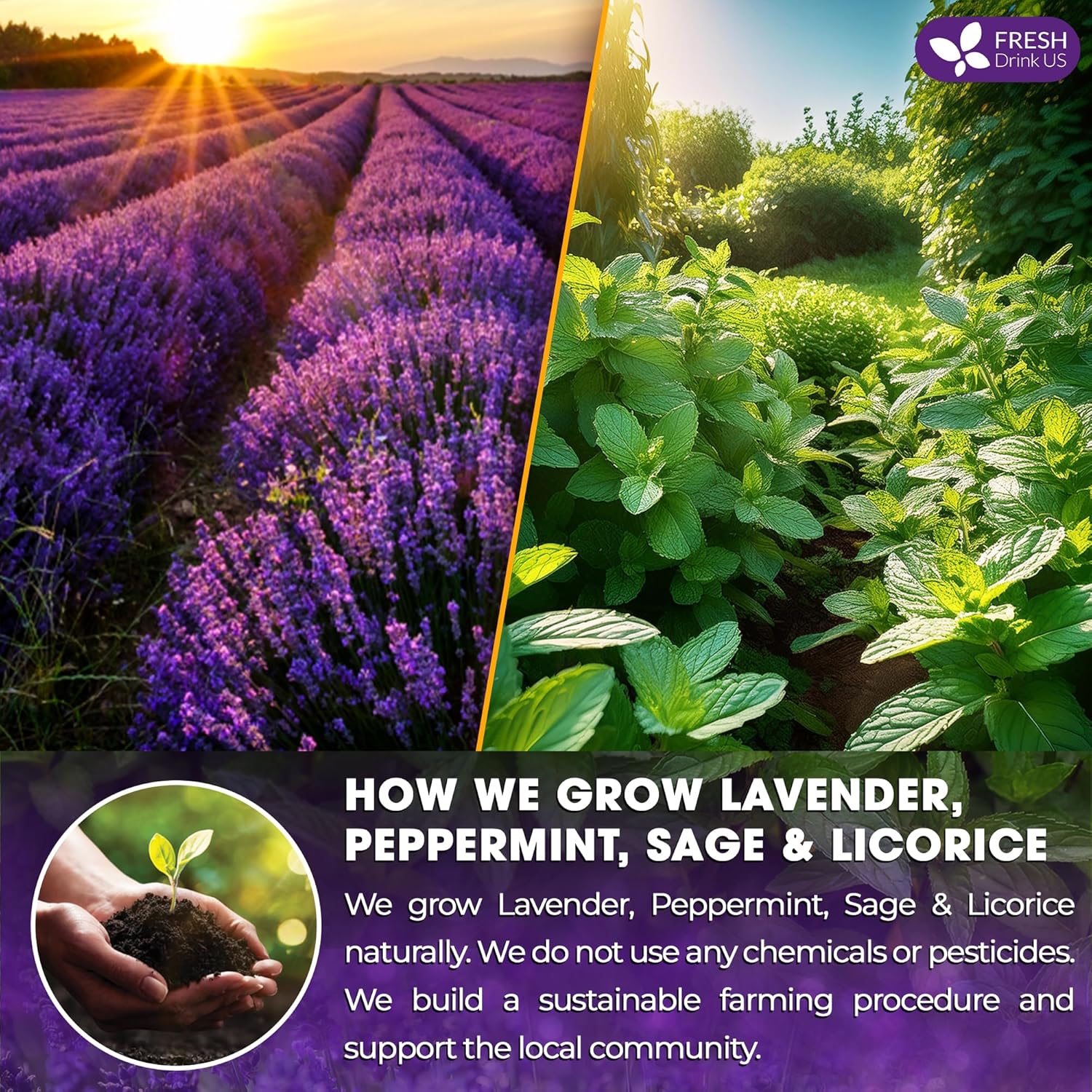 Premium Lavender Mint Tea Bags. 100% Natural, Blend of Lavender, Peppermint, Sage and Licorice. by FreshDrinkUS - Natural and Premium Herbal Tea
