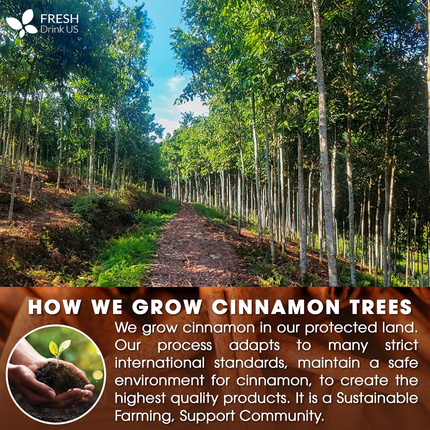 Cinnamon Sticks, Whole Sticks, 100% Natural & Pure Cinnamon Inner Bark, Raw Cinnamon Spice Flavor & Strong Aroma, Cinnamon Spice Herbal Tea, Perfect for Warm Beverages, No Additives, Vegan by FreshDrinkUS - Natural and Premium Herbal Tea
