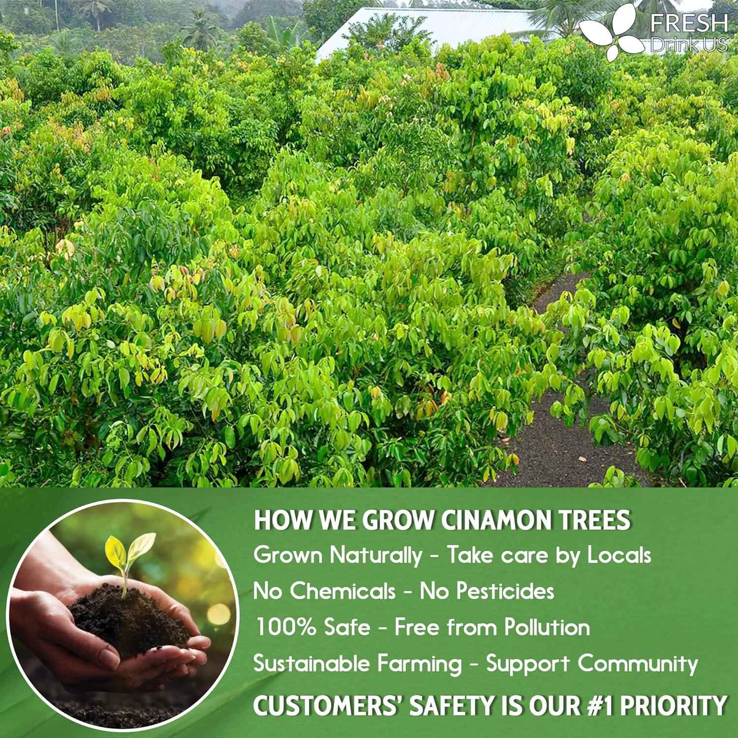 Cinnamon Cut and Sifted Leaf Tea