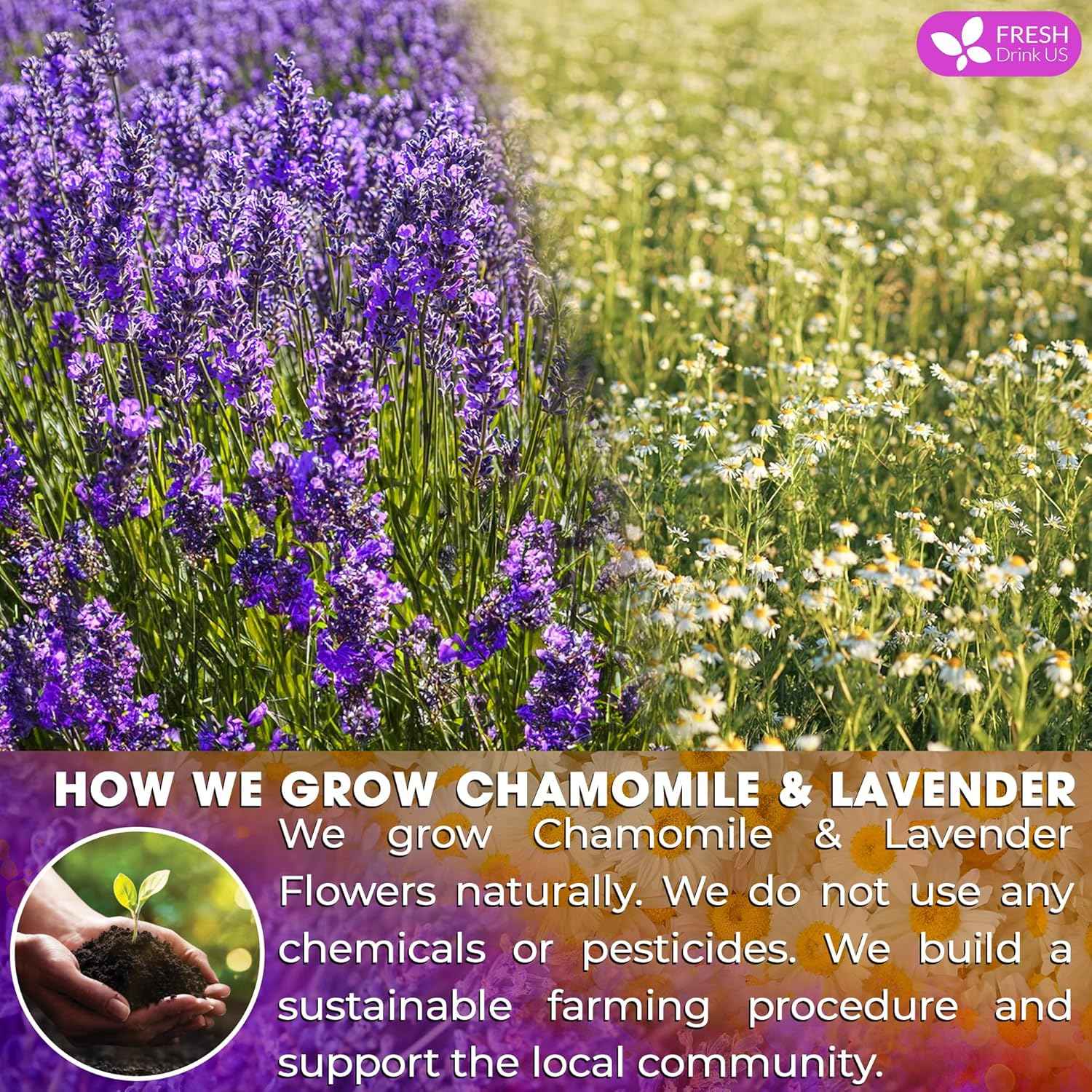 Premium Chamomile Lavender Tea Bags, Eco-conscious Tea Bags. No Sugar, No Caffeine, No Gluten, Vegan.