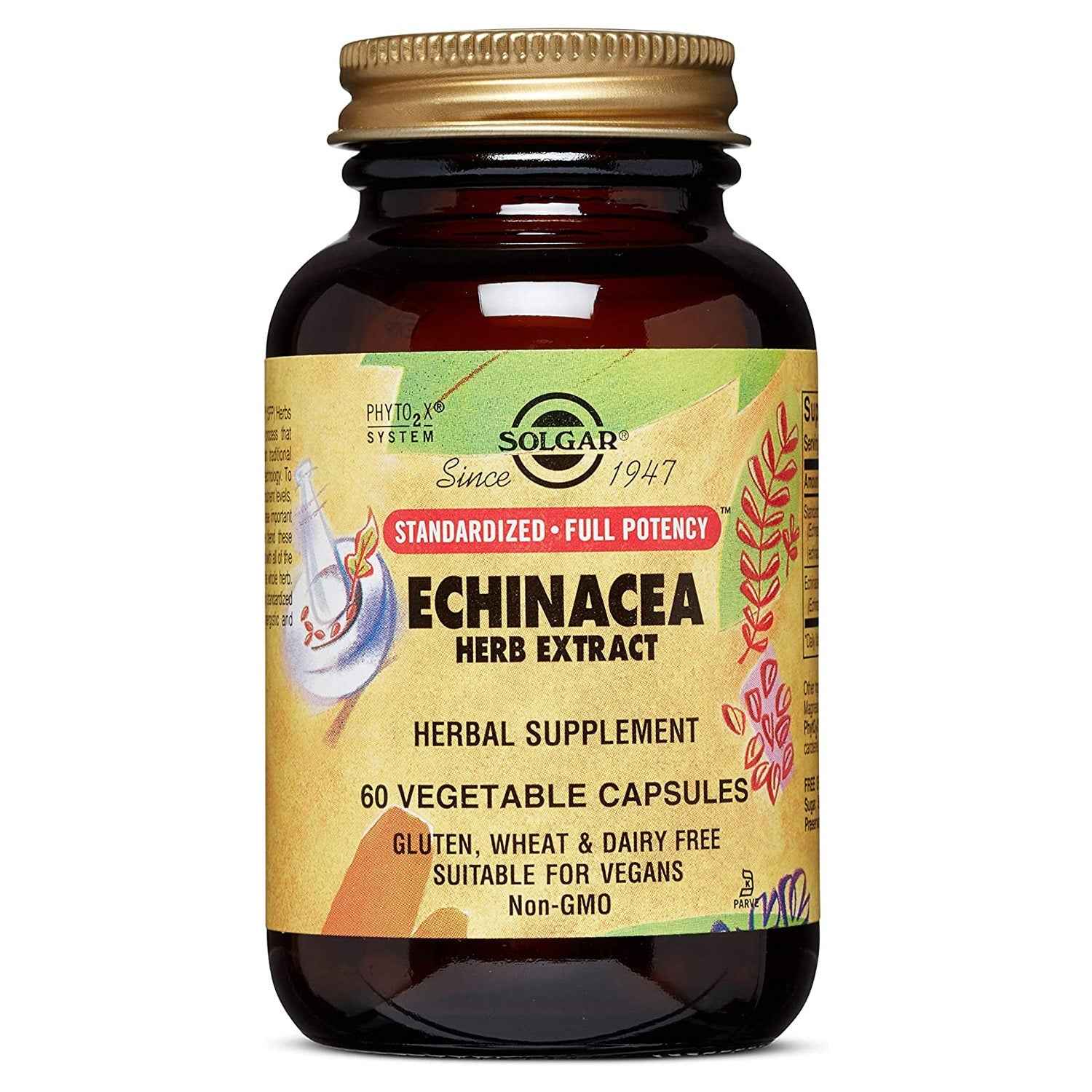 Solgar Echinacea Herb Extract 60 Vegetable Capsules by Pasteur Pharmacy