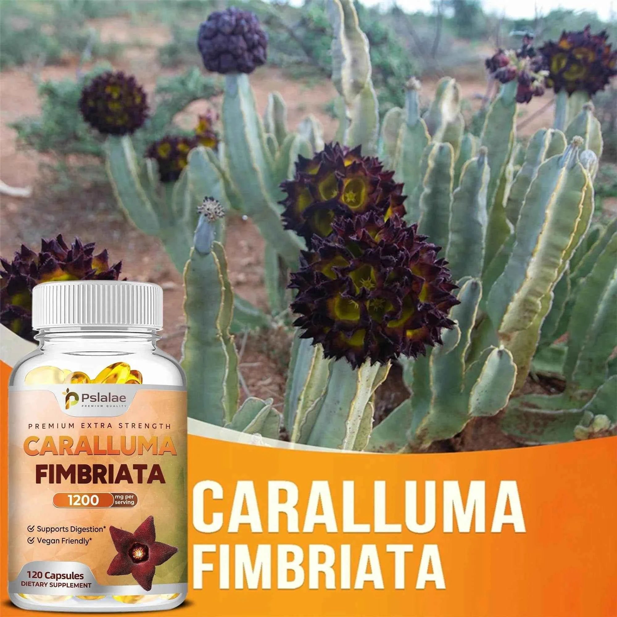 Caralluma Fimbriata - Maximum Strength Weight Management Supplement, Appetite Suppressant, Metabolism Booster - 120 Capsules