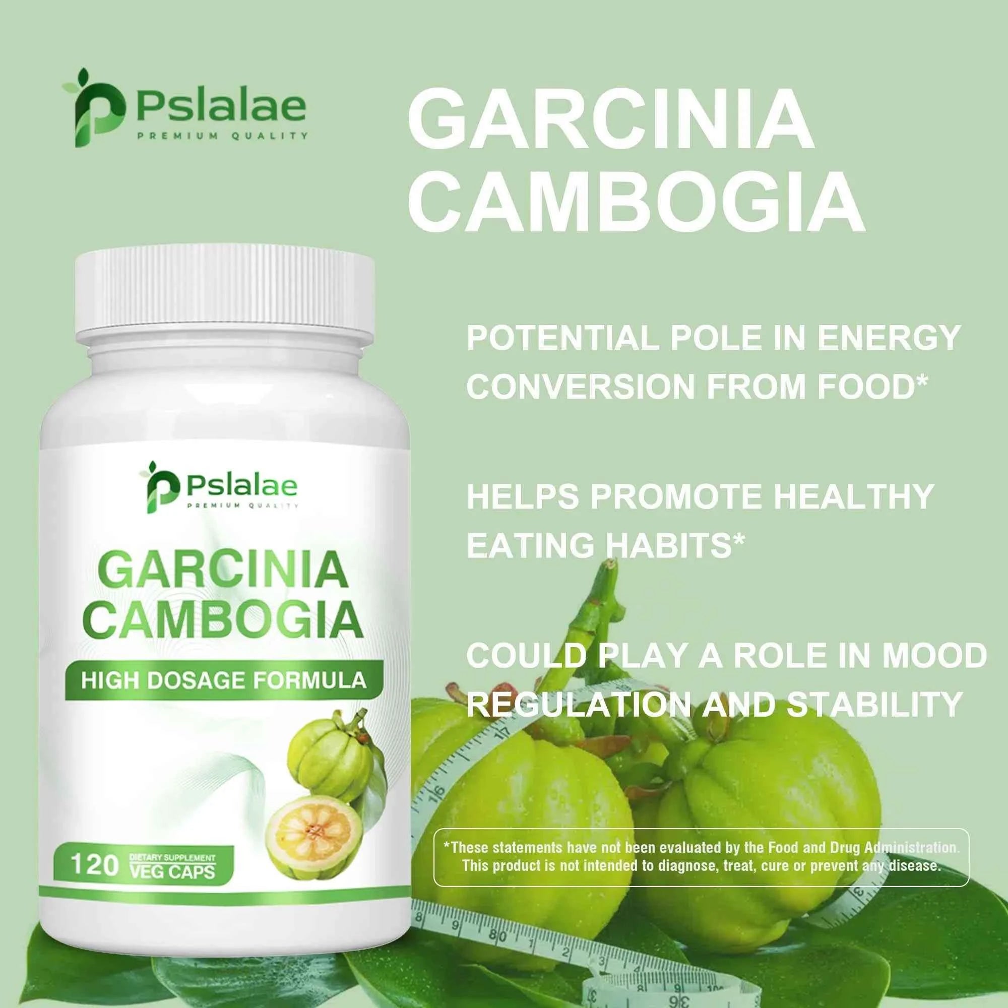 Garcinia Cambogia Health Supplement Appetite Suppression Metabolism Boost Energy Replenishment Colon Cleansing 120 Capsules