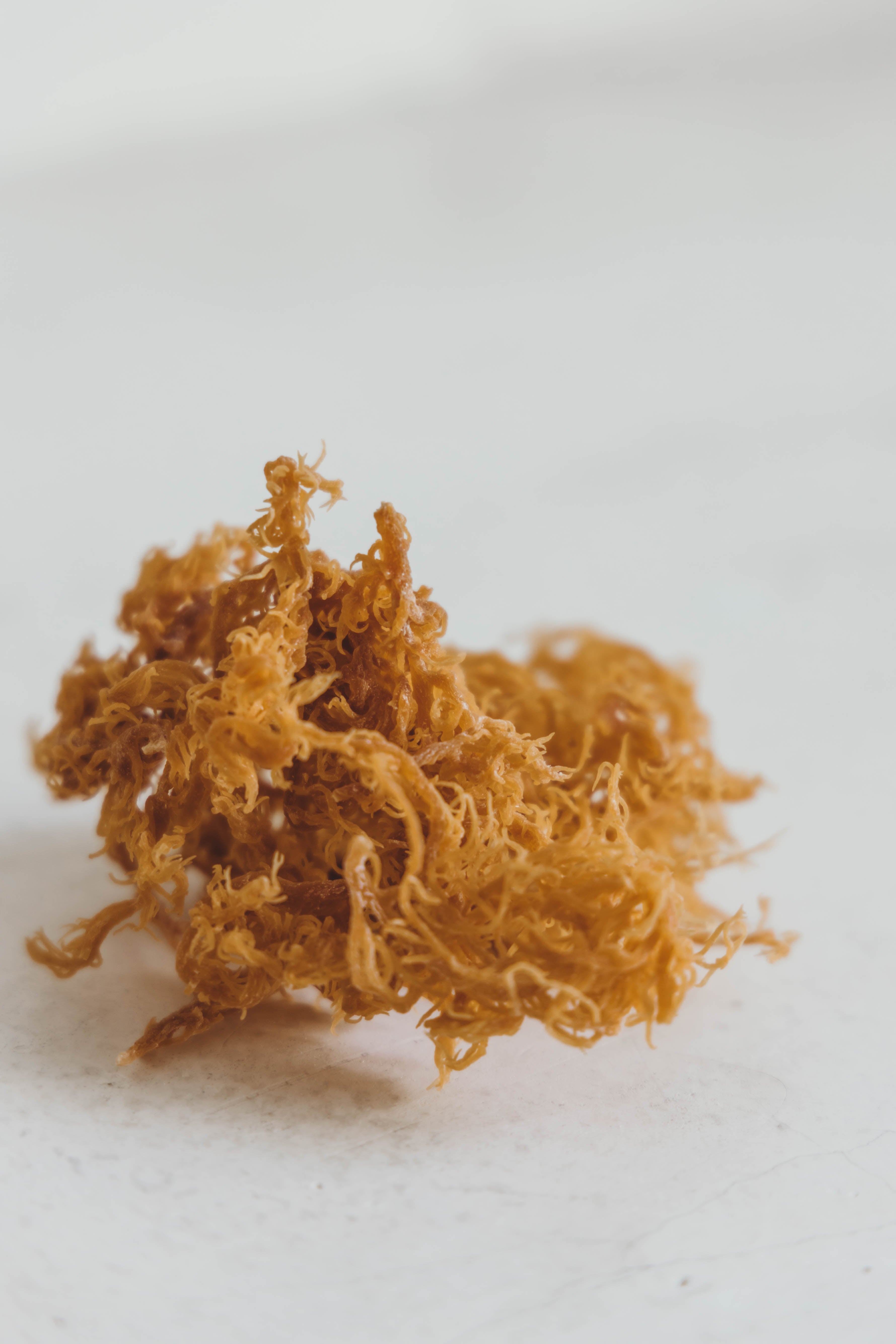 Pure Jamaican Seamoss GOLD by Ancient Healing Teas