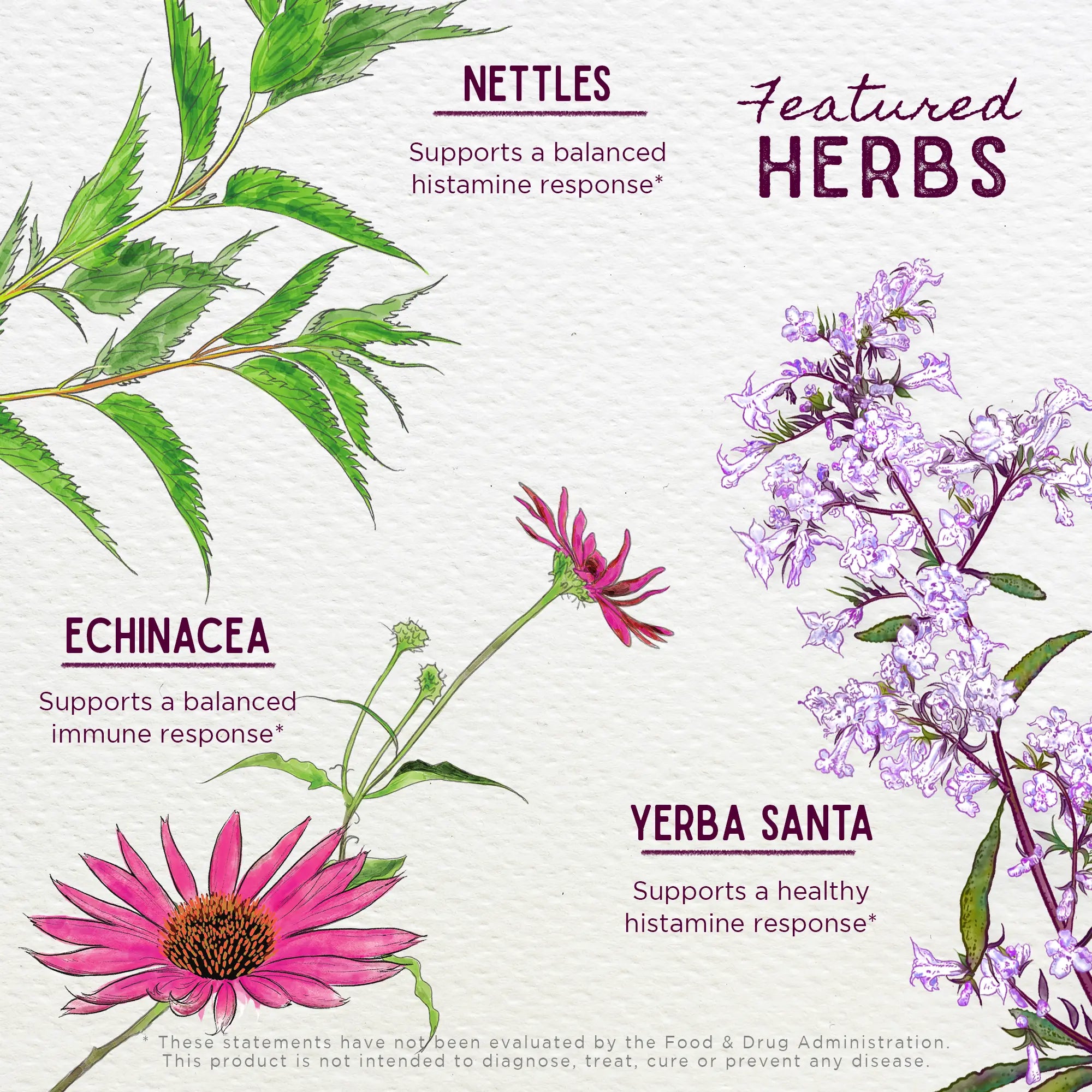 Kick-It Allergy, Seasonal Rescue For Kids by WishGarden Herbs