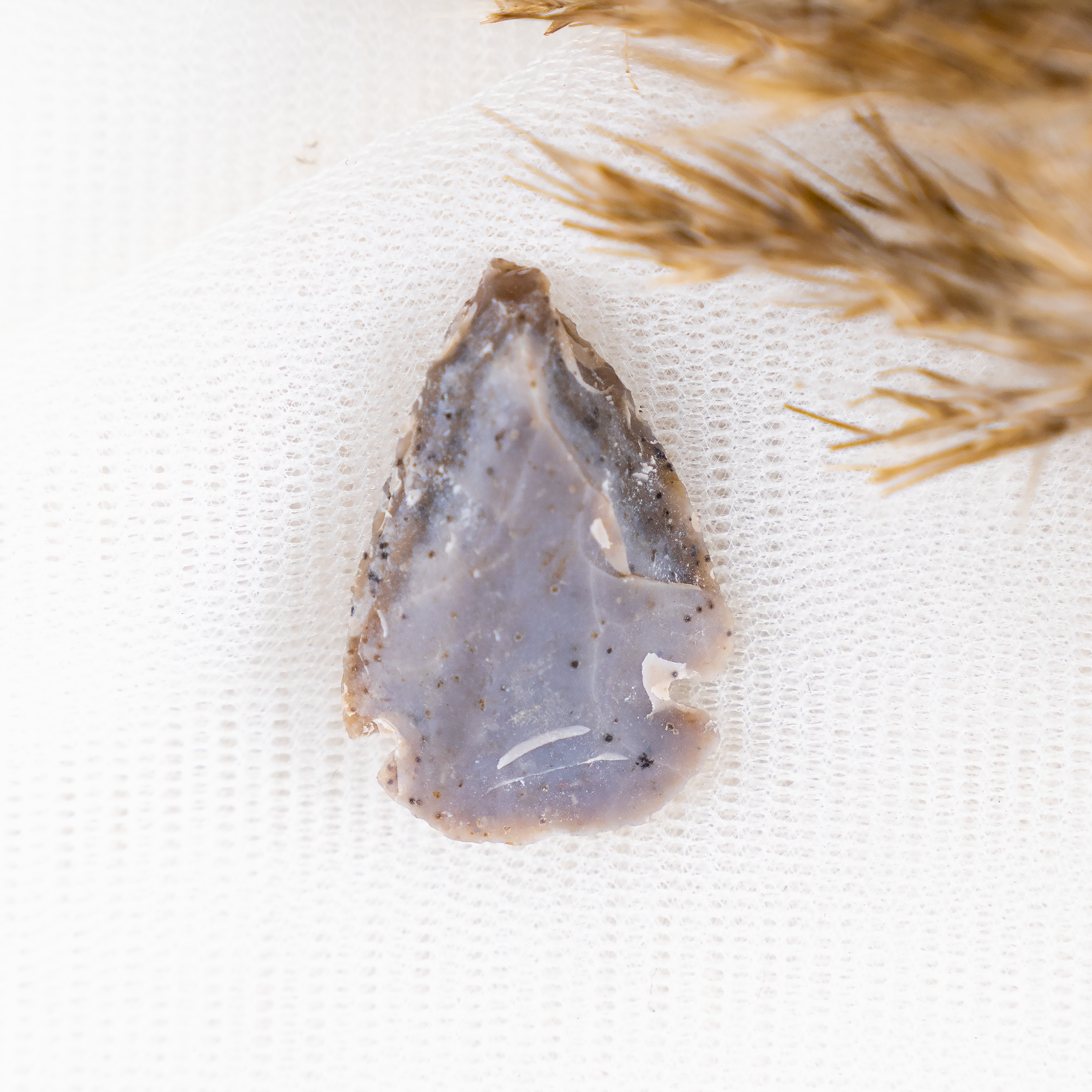 Fancy Jasper Arrowhead Points DestGlow