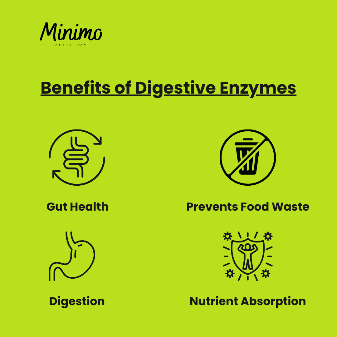 Digestive Enzyme Pro Blend, 60 ct. by Minimo Nutrition