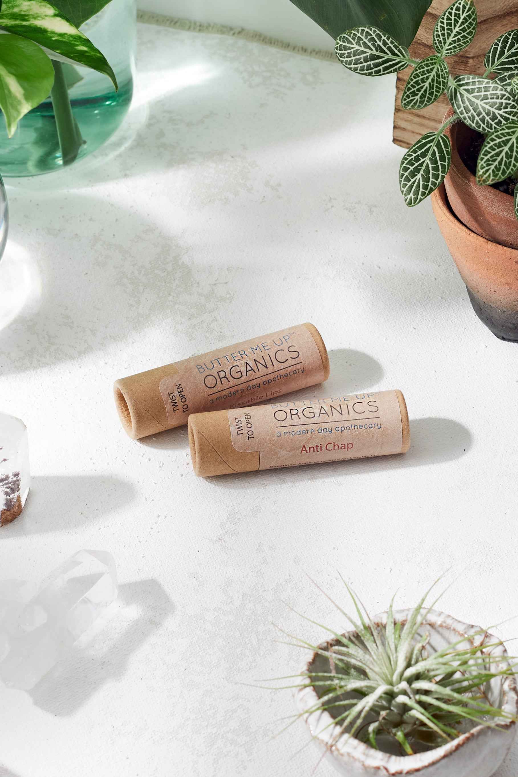 Organic Anti-Chap Lip Balm / Chapped Lips / Organic Lip Moisturizer / PAPERBOARD Tube by Butter Me Up Organics