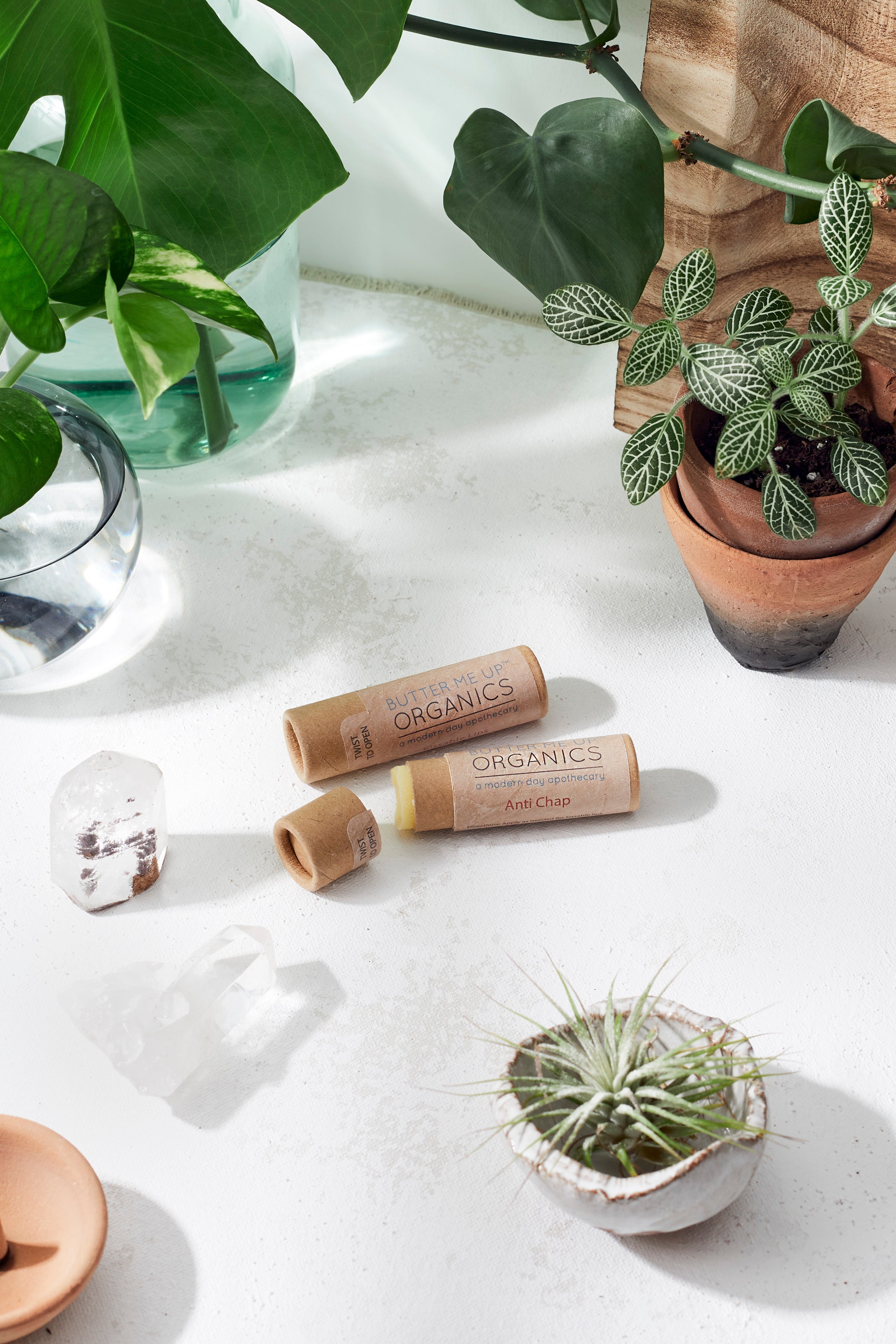 Organic Anti-Chap Lip Balm / Chapped Lips / Organic Lip Moisturizer / PAPERBOARD Tube by Butter Me Up Organics