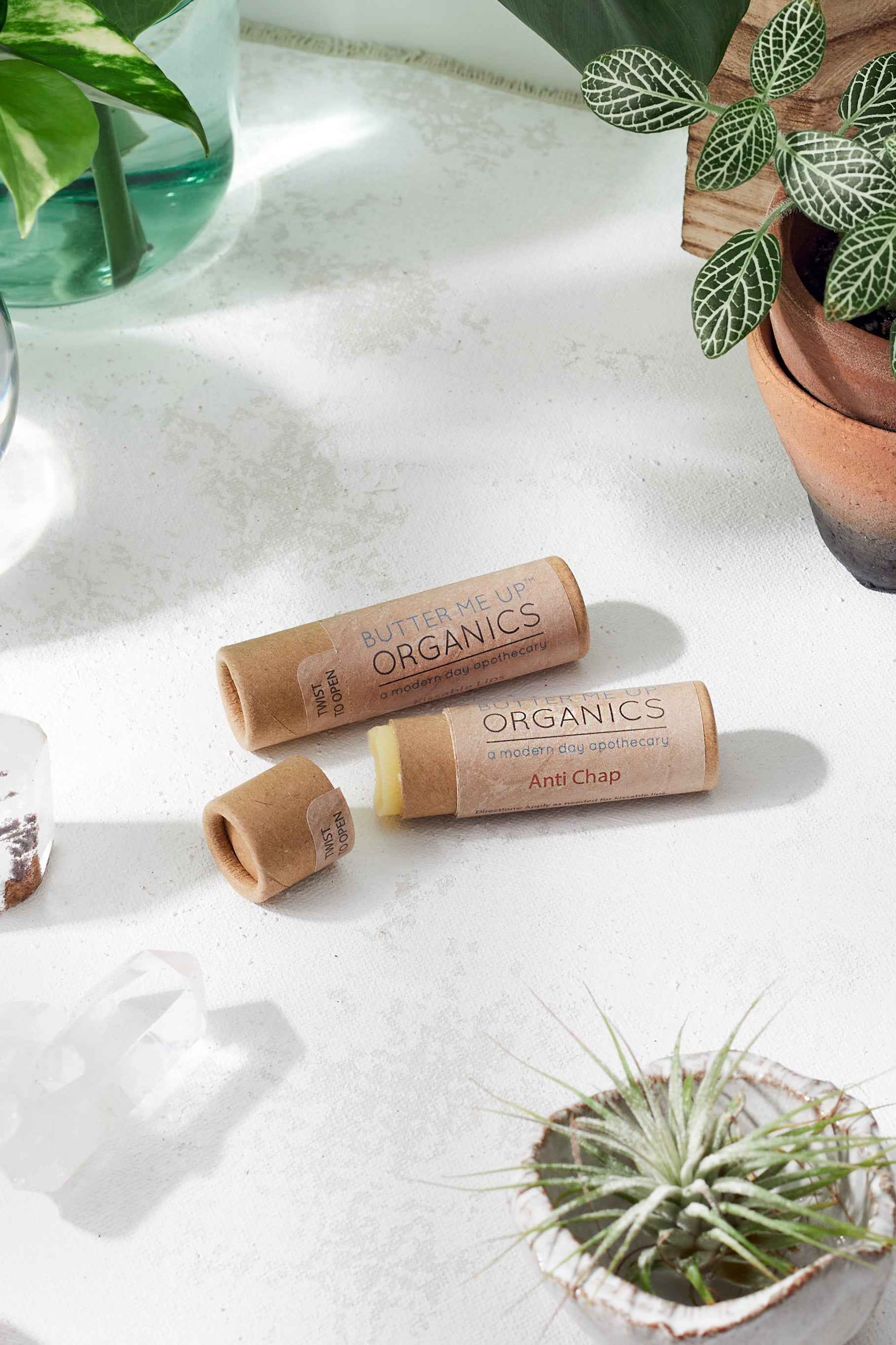 Organic Anti-Chap Lip Balm / Chapped Lips / Organic Lip Moisturizer / PAPERBOARD Tube by Butter Me Up Organics