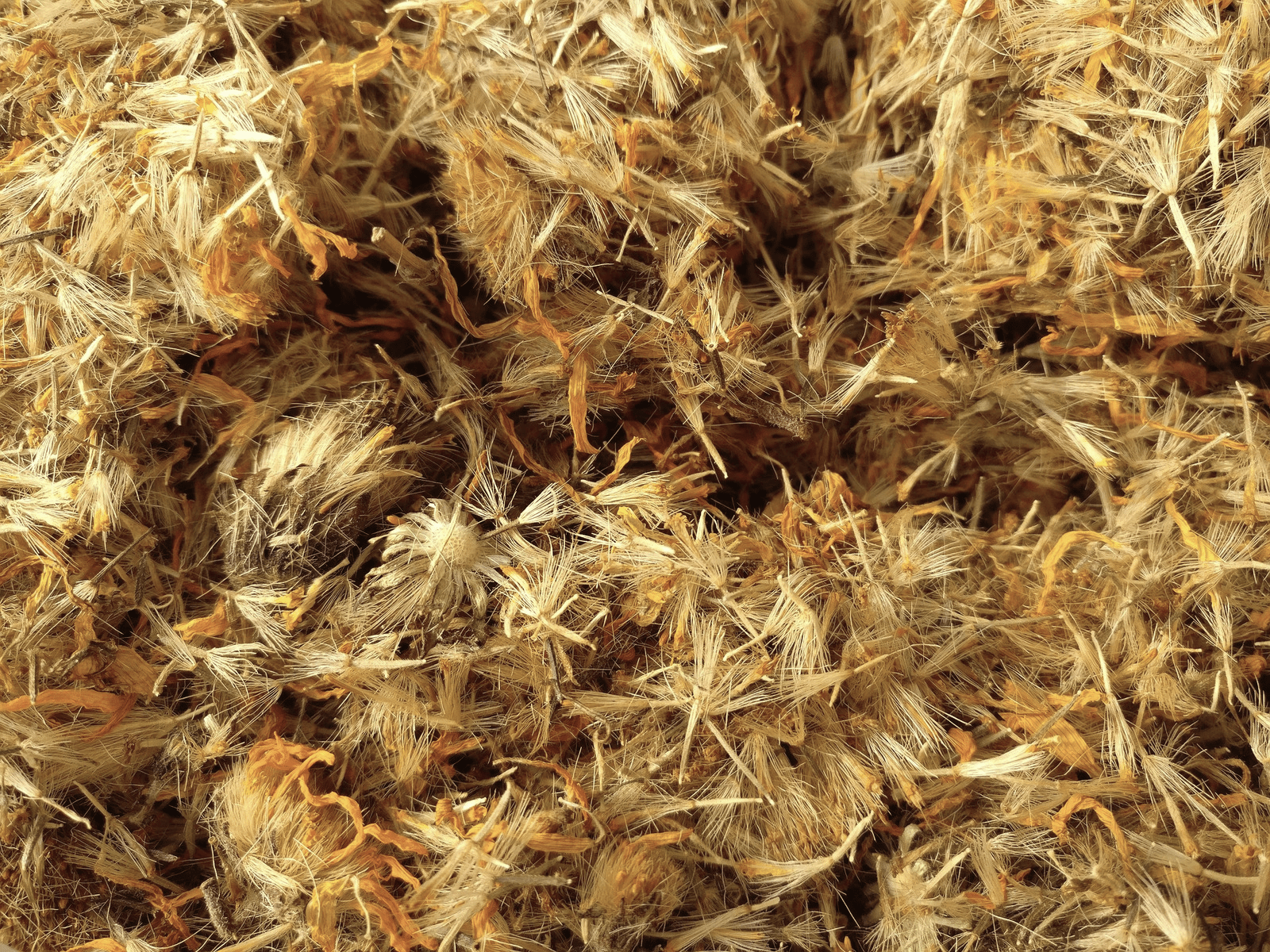 Arnica Flowers, Whole by Country Life Natural Foods