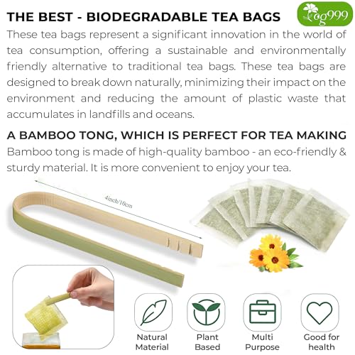 FreshDrinkUS Anti-Inflammatory Superfood Duo, Turmeric Ginger Cinnamon & Moringa Leaf Herbal Tea Bags, 100% Natural & Pure Roots and Leaves, Eco-Conscious Tea Bags, No Sugar, No Caffeine, No Gluten, Vegan – Herbal Beverage by FreshDrinkUS - Natural and Premium Herbal Tea