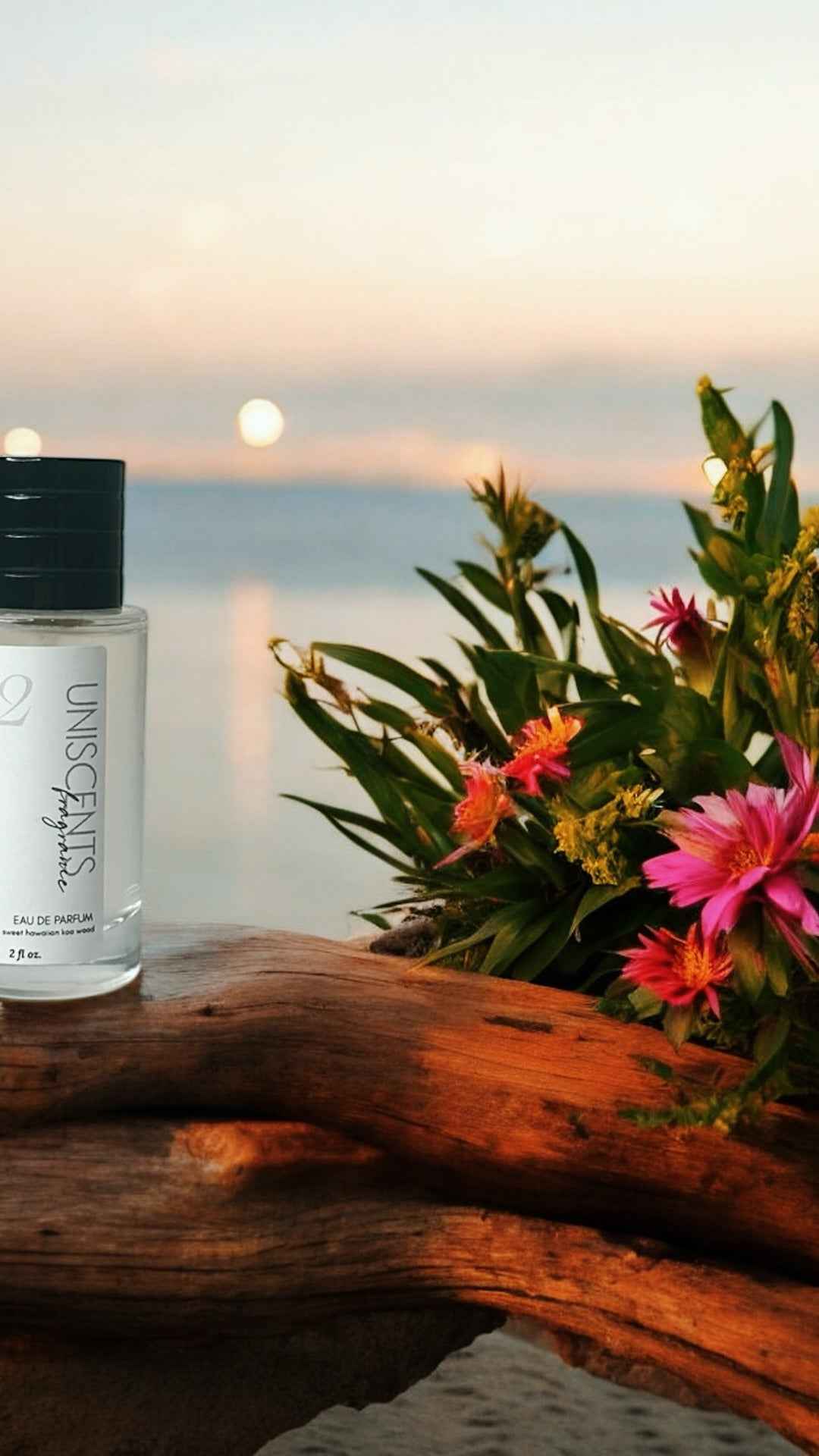 Artisan Perfume & Cologne Spray – 2oz Unisex Fragrance, Gender Neutral by Moon Water Apothecary