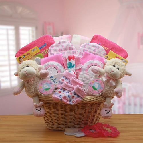 Double Delight Twin Baby Girls Gift Basket - Pink Baby Shower Gift Set
