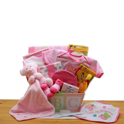 Easy as ABC Baby Girl Gift Basket - Teddy Bear & Complete Newborn Essentials Set