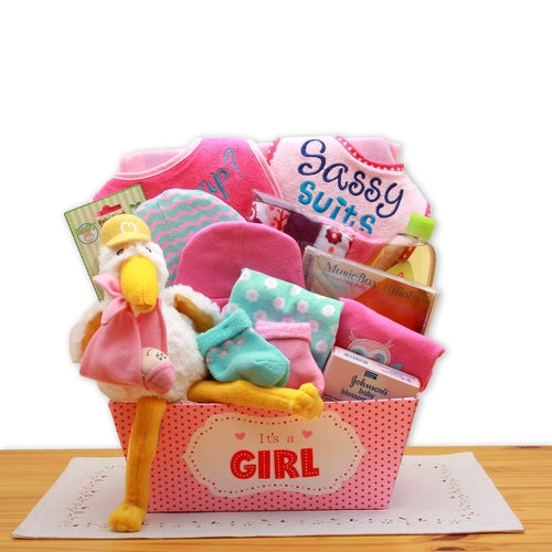 Special Delivery Baby Girl Gift Basket - Plush Stork with Complete Newborn Essentials