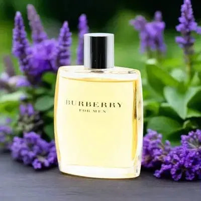 Burberry By Burberry For Men 3.3oz EDT Spray by perfumesandrea