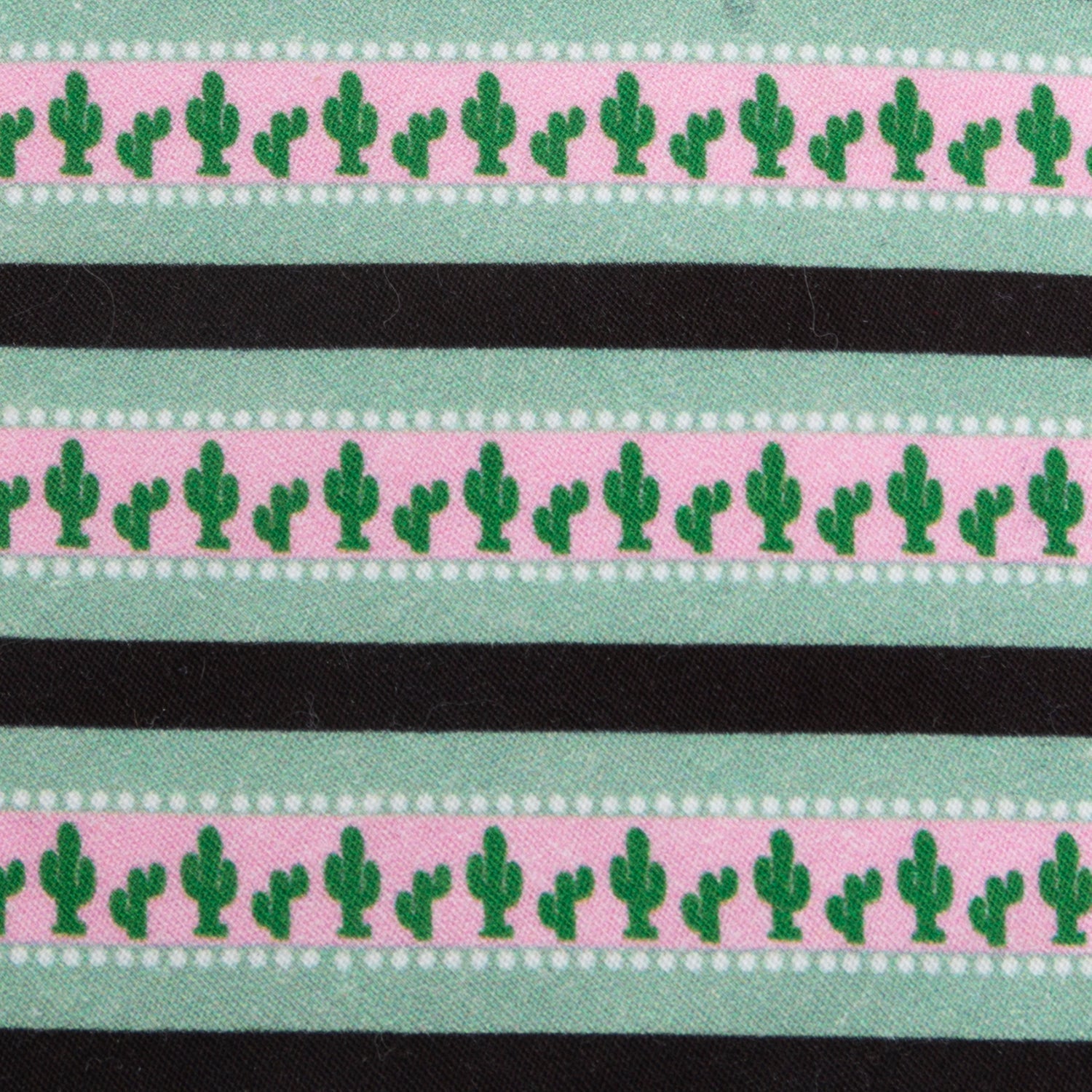 Texas Cactus Stripe Sage Men&