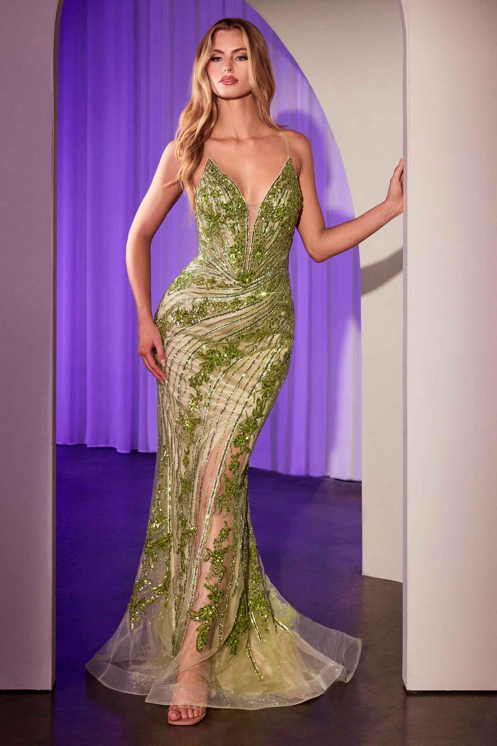 Ladivine CC0389 Dress Lace Embellished Fitted Gown by DiscountDressShop