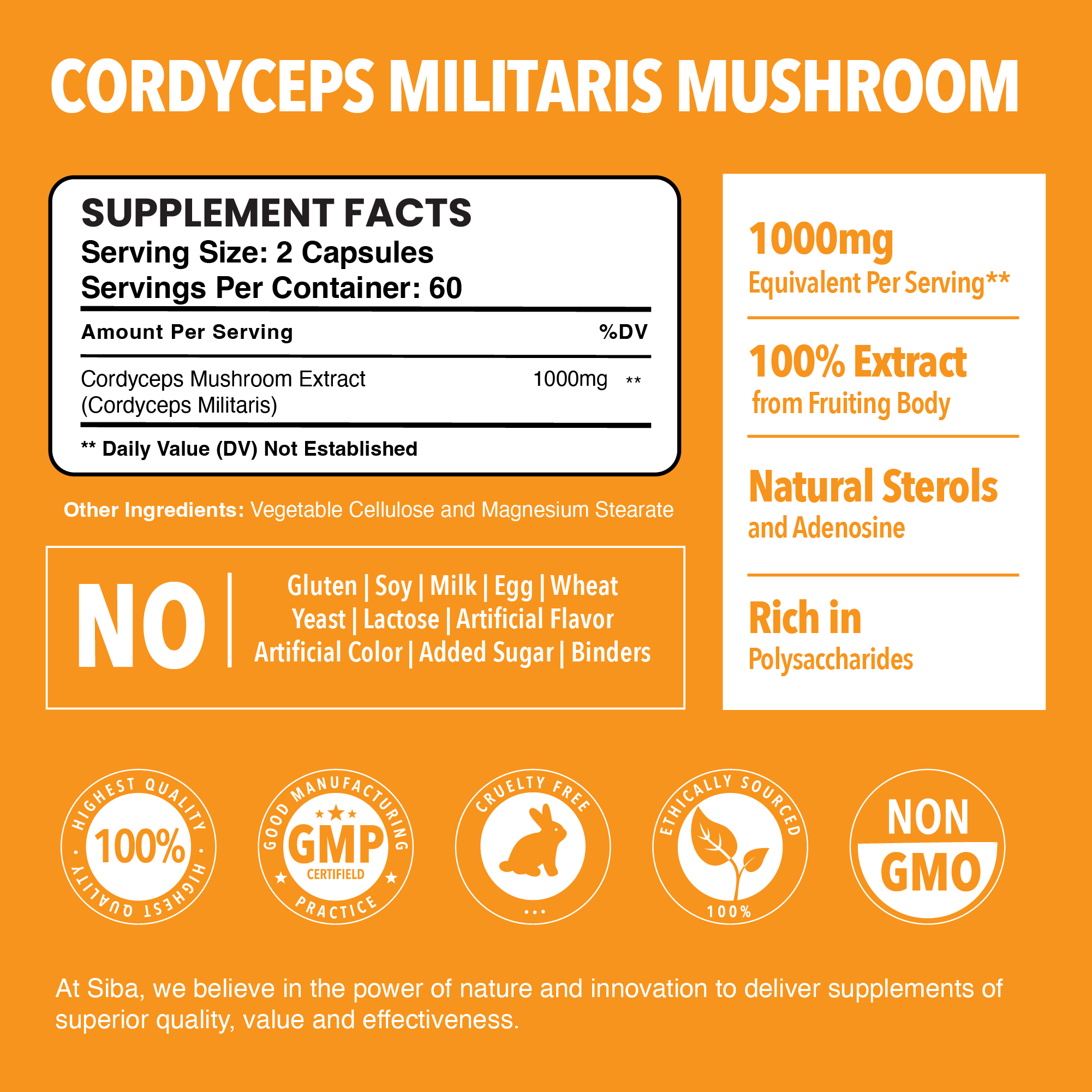 Cordyceps Mushroom Capsules by Siba Vitamins Store