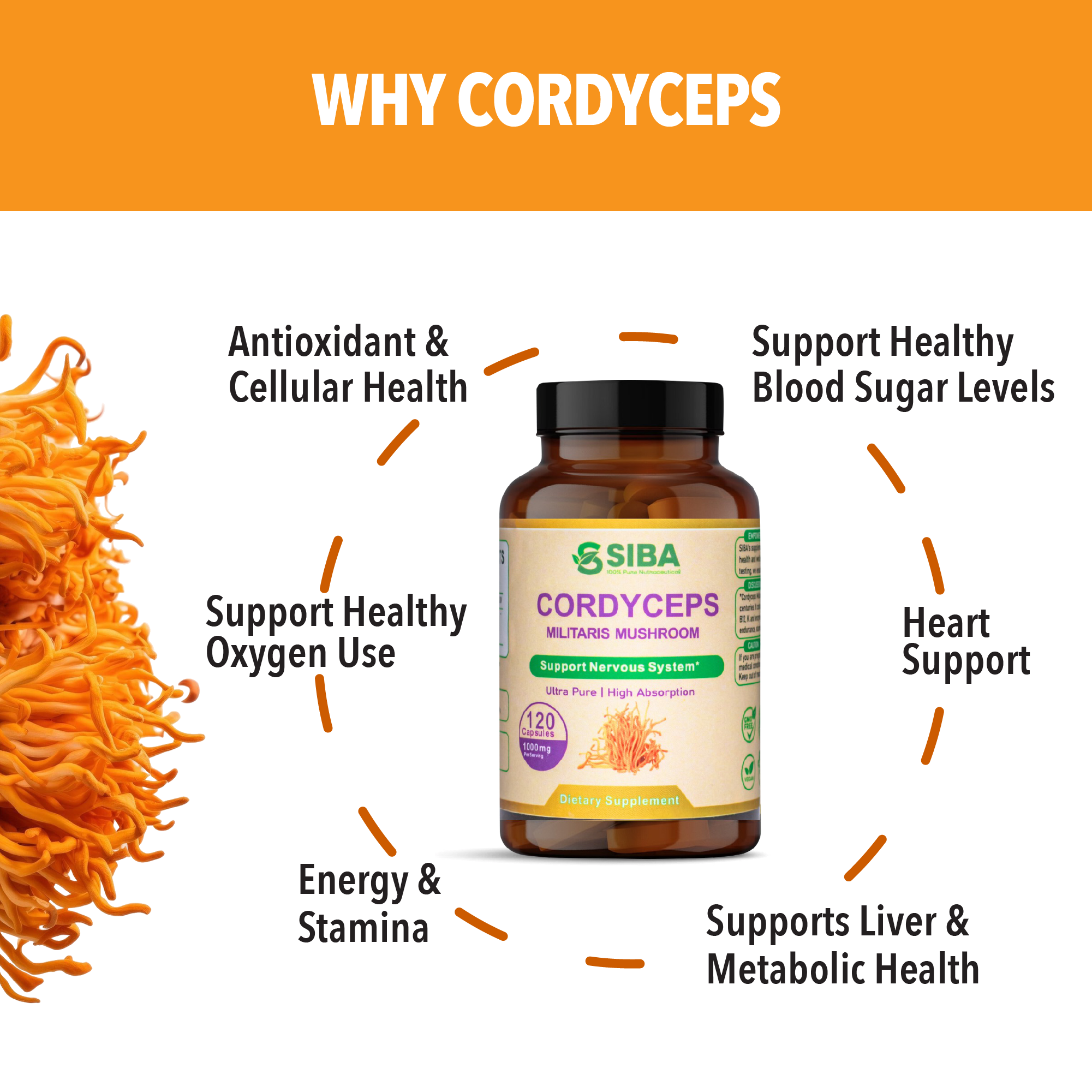 Cordyceps Mushroom Capsules by Siba Vitamins Store