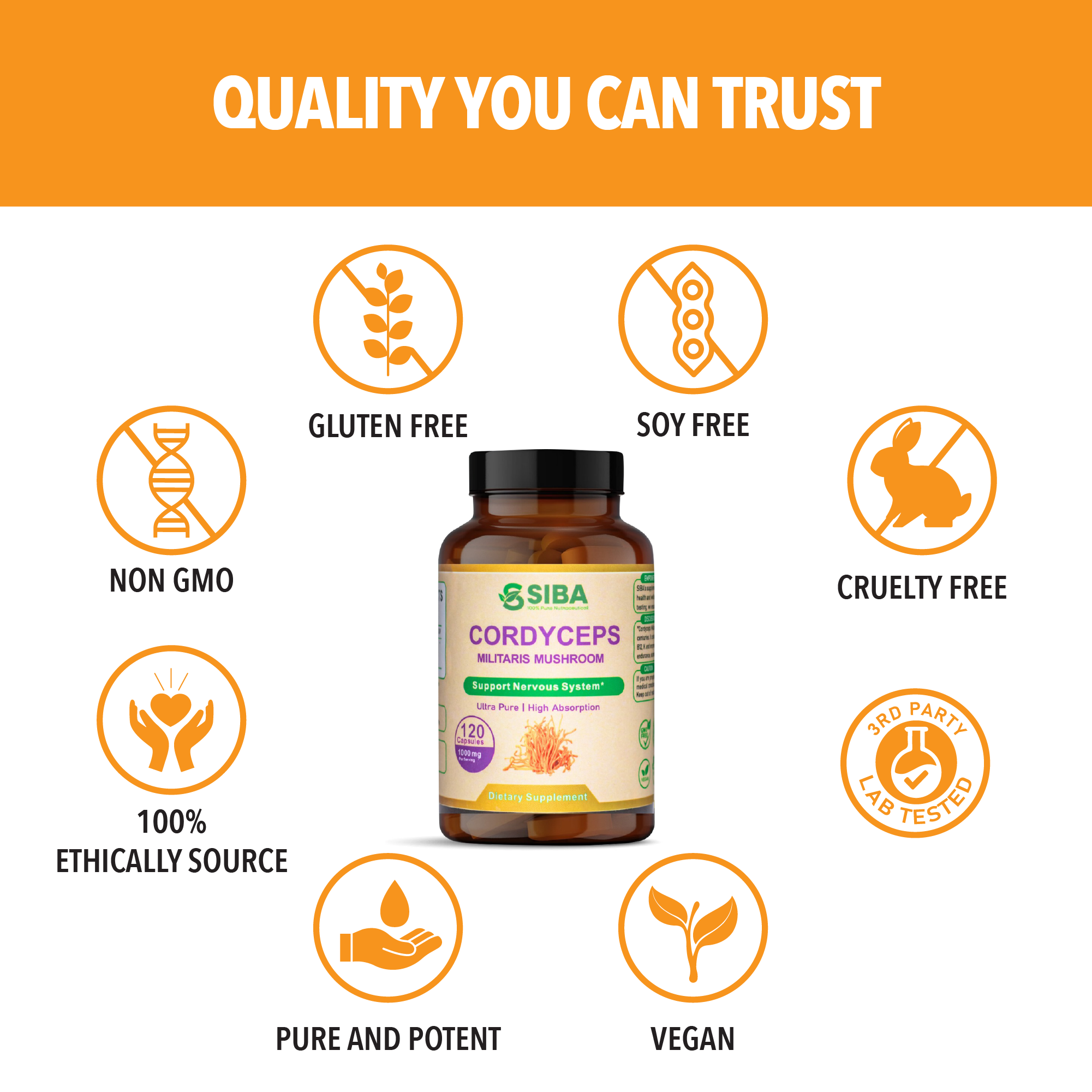 Cordyceps Mushroom Capsules by Siba Vitamins Store
