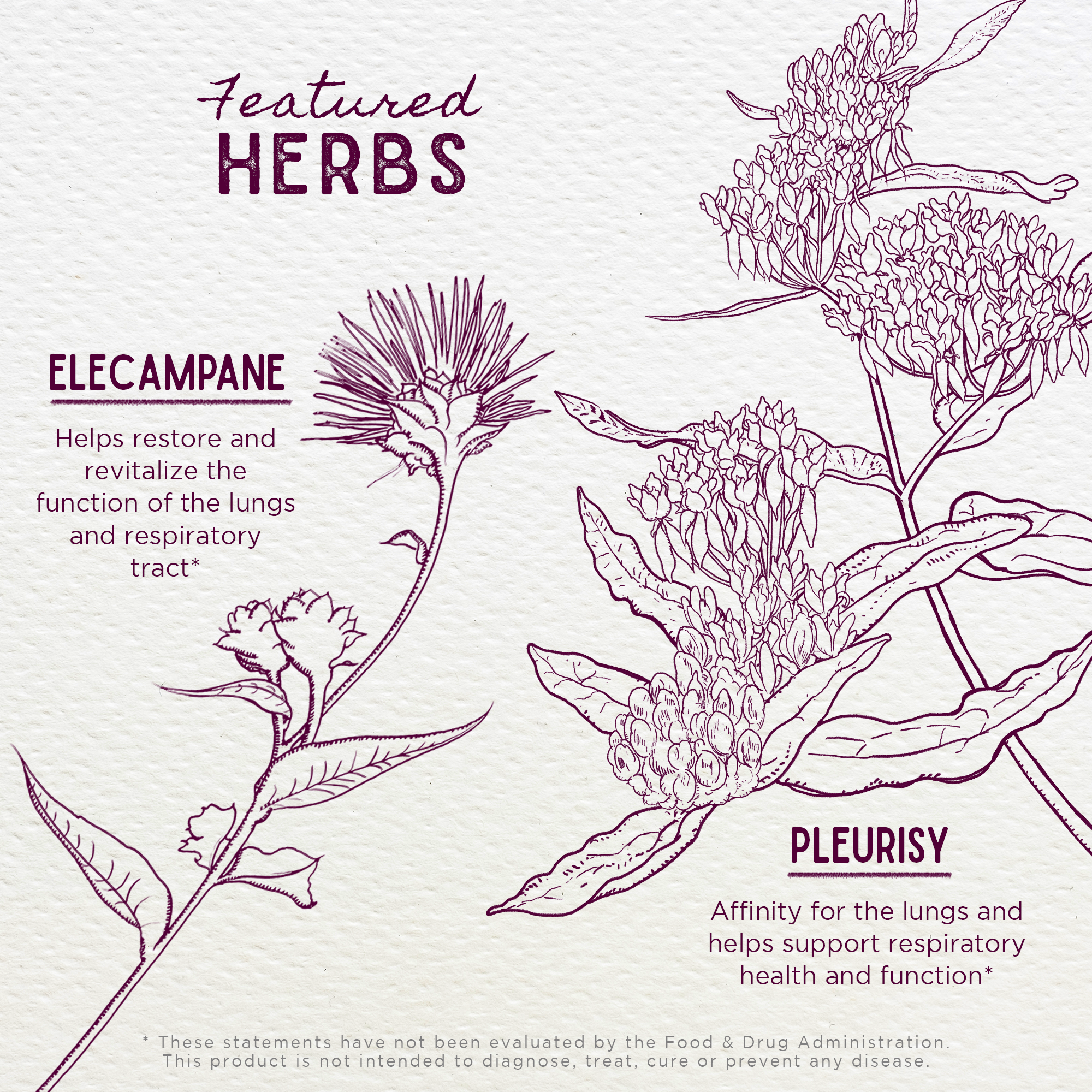 Serious Cough, Soothing & Quieting DestGlow