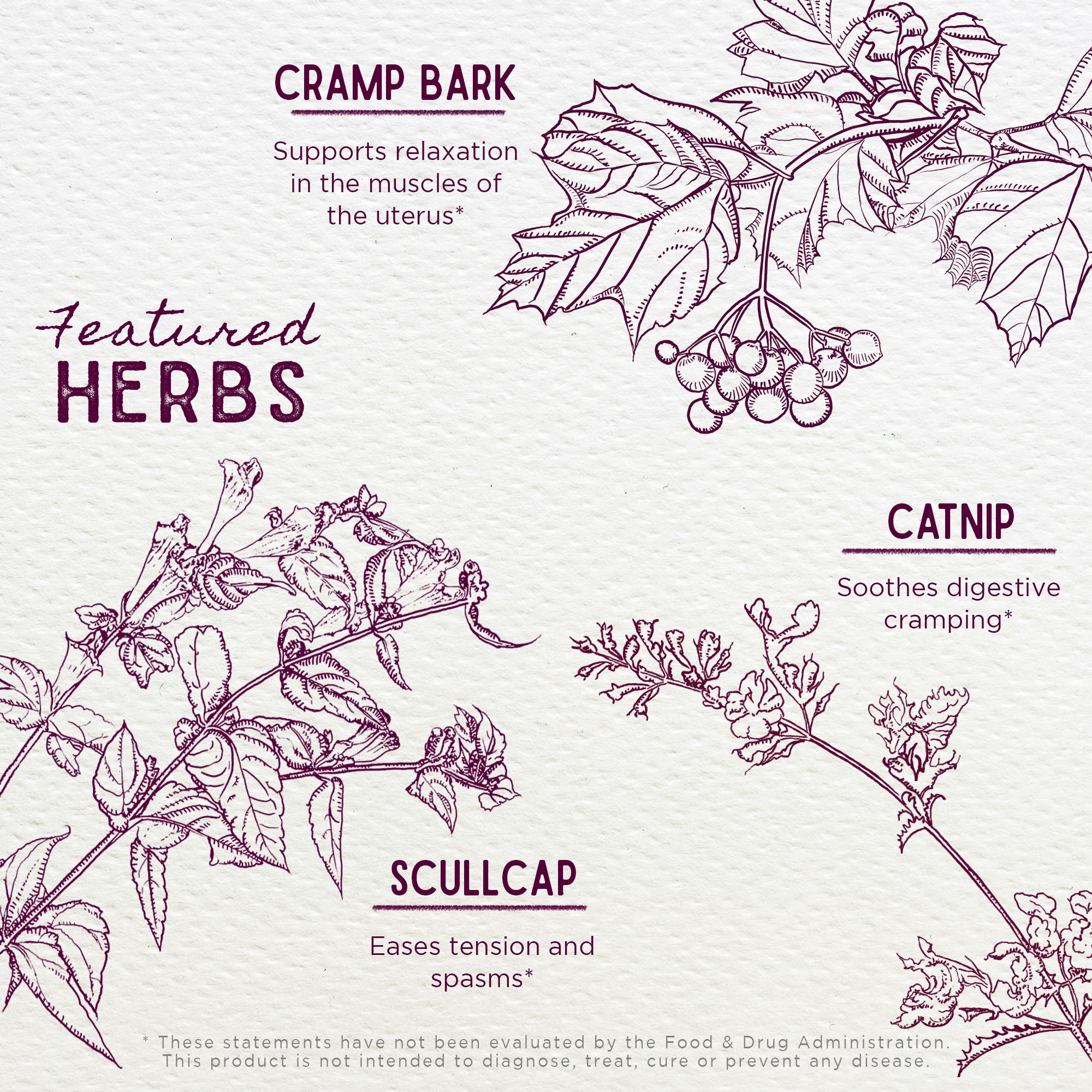 Cramp Release, Menses Soother DestGlow