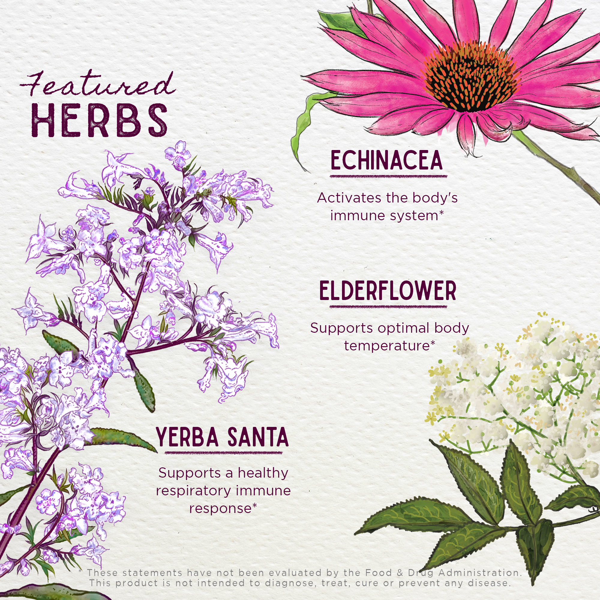 Congestion Rescue, Immune Support for Pregnancy DestGlow