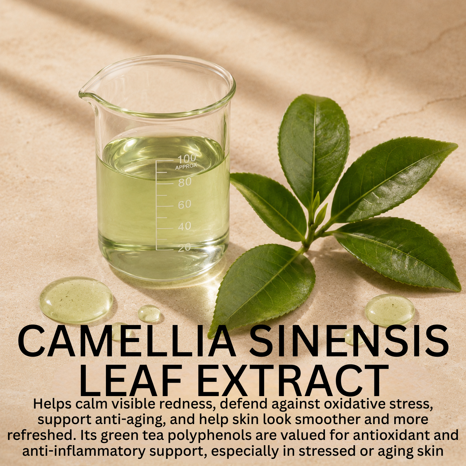New Skin Natural Intensive Acne Serum by gymsegbë