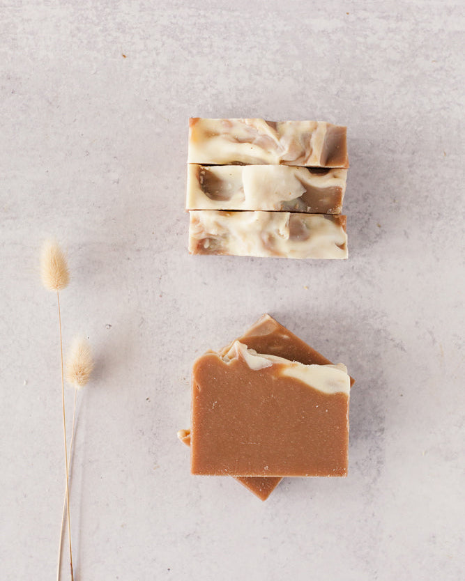 Cedar Citrus Beer Soap by Fig & Grove